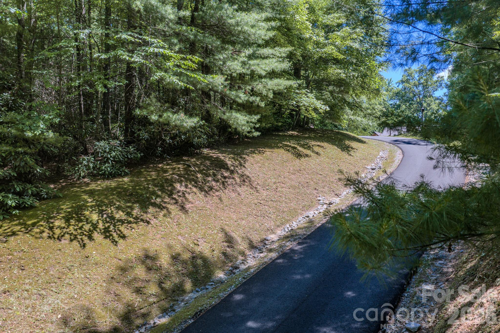 Property is on the left - 0 Woodlyn Etch Drive, Hendersonville