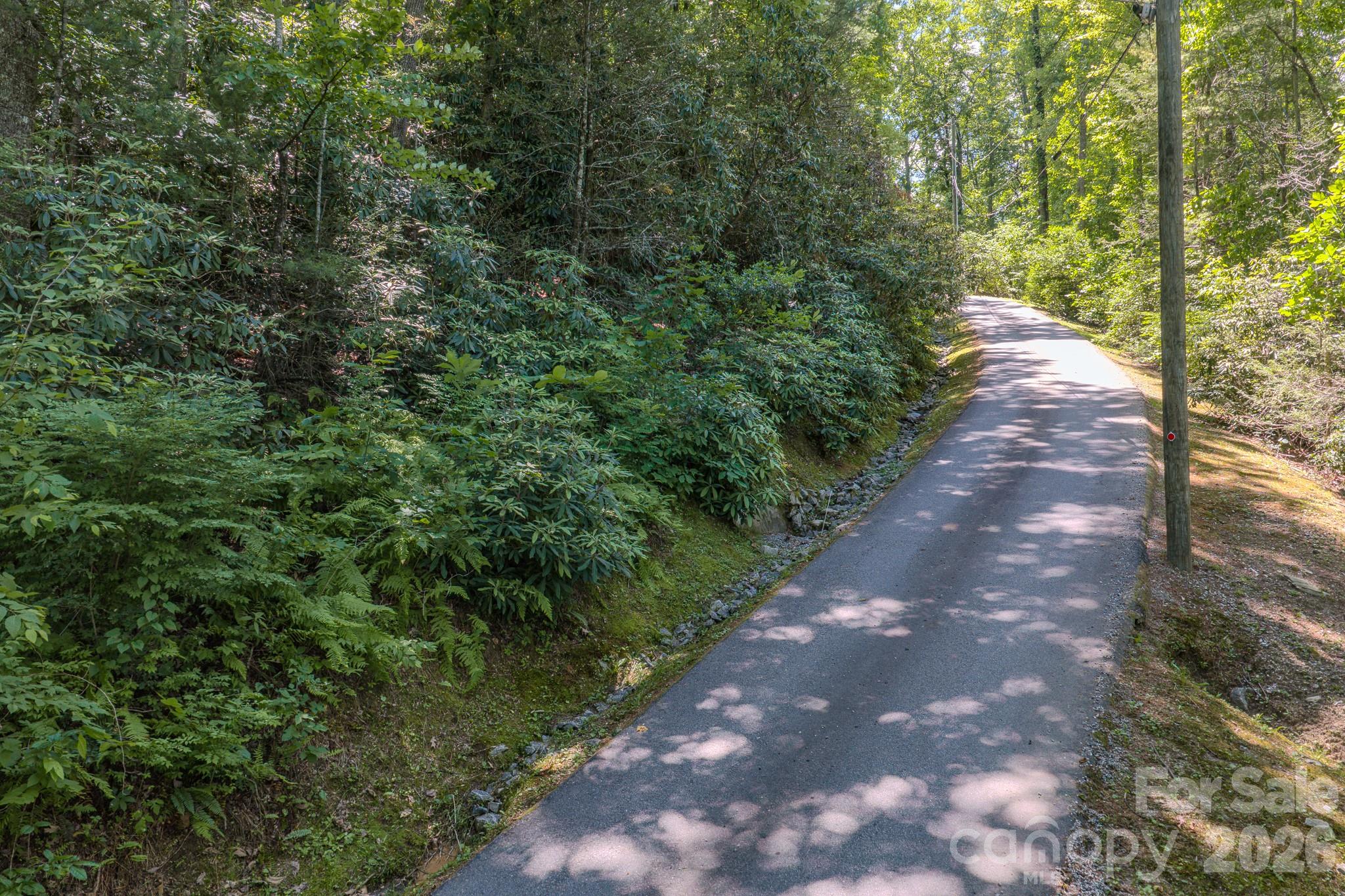 Property is on the left - 0 Woodlyn Etch Drive, Hendersonville
