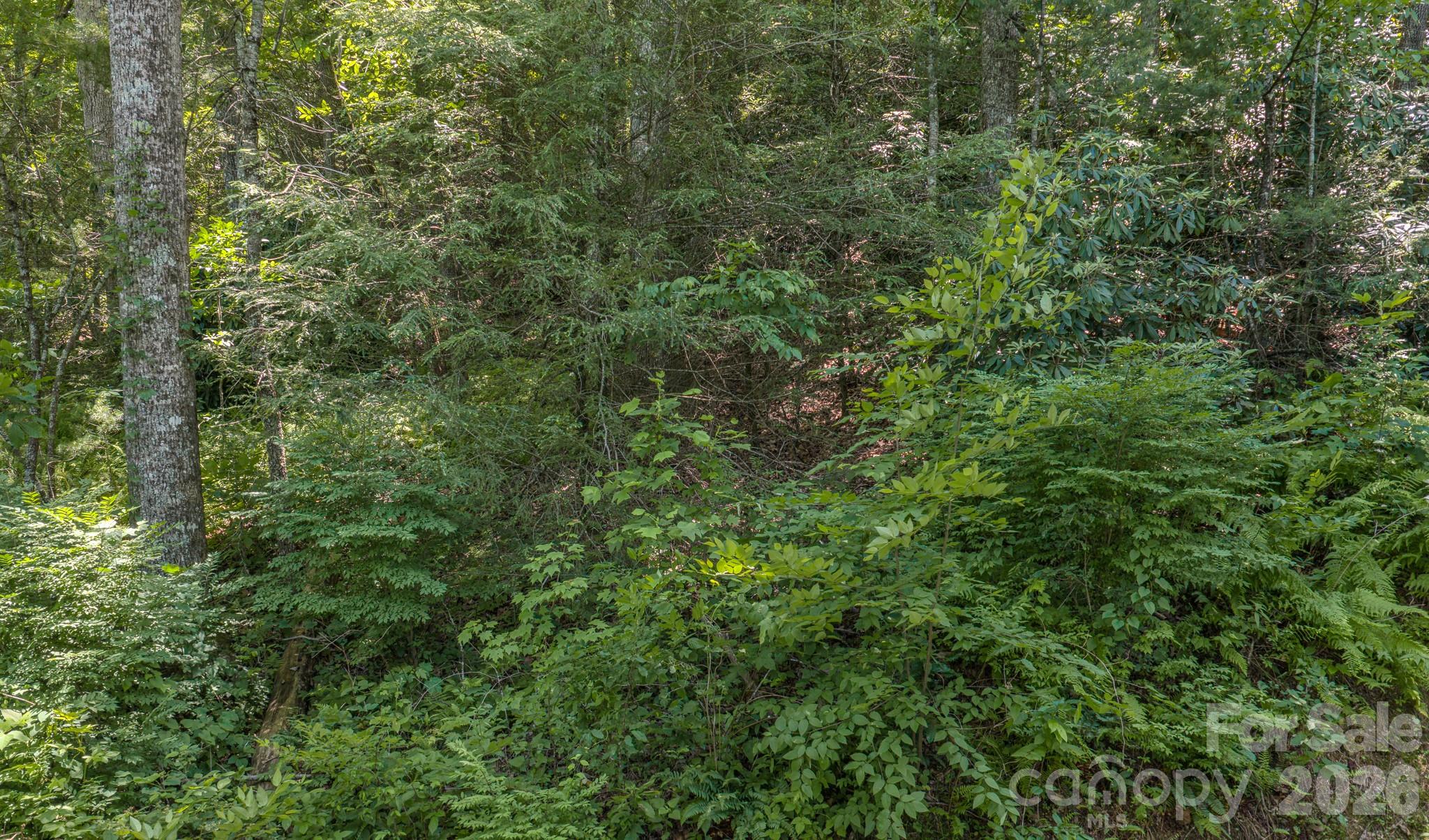 The property is wooded - 0 Woodlyn Etch Drive, Hendersonville