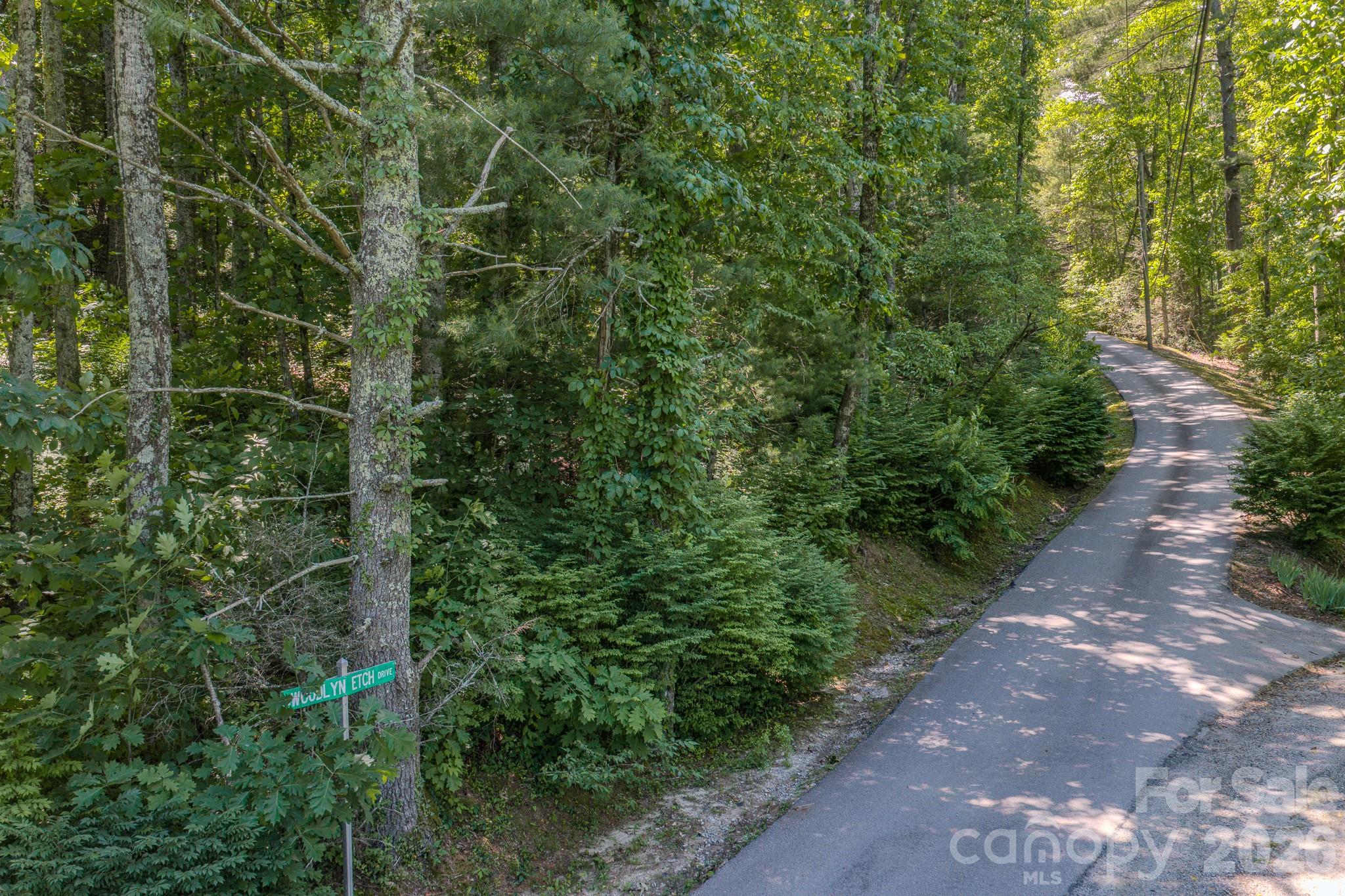 The property is on the left - 0 Woodlyn Etch Drive, Hendersonville