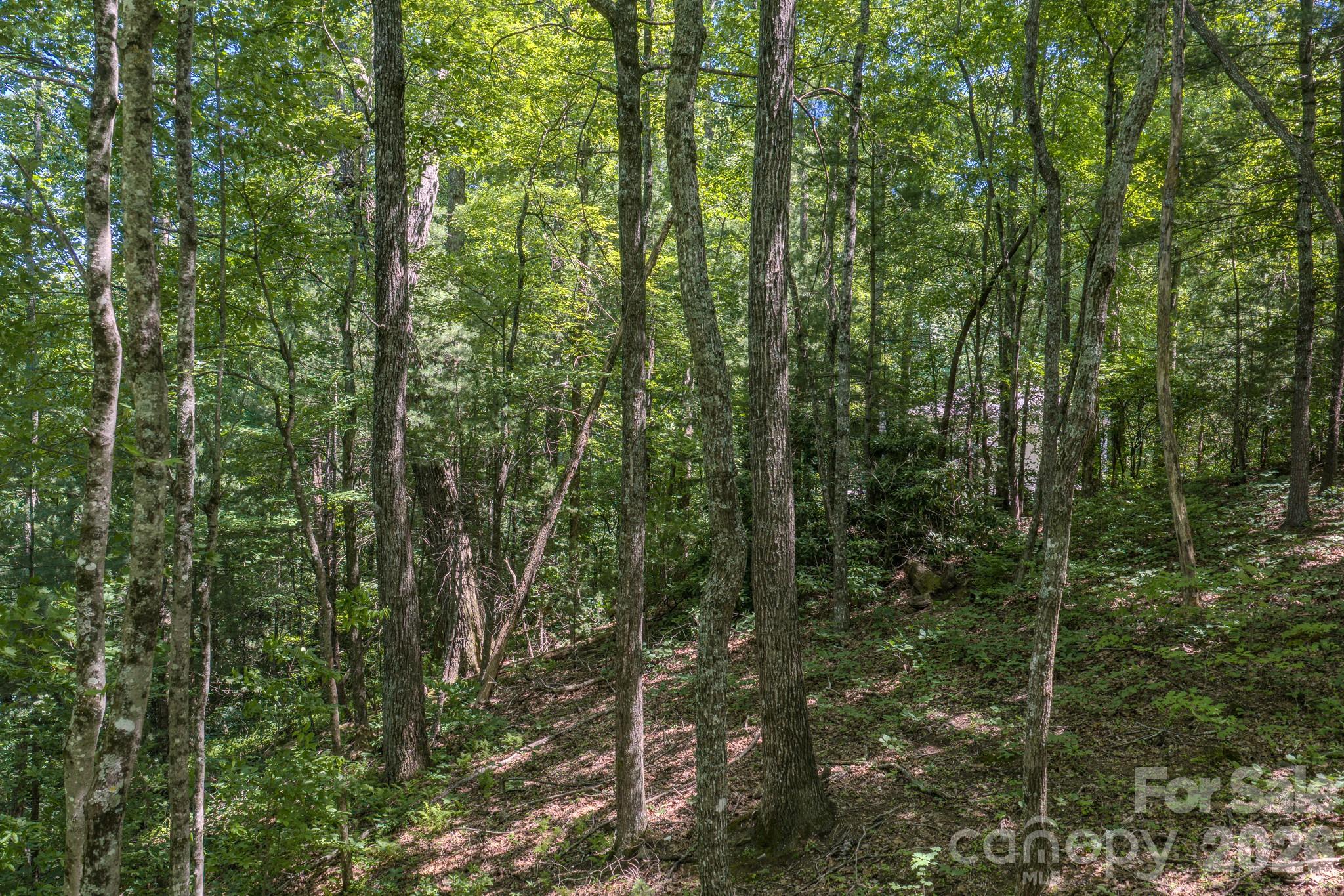 Lot at 0 Woodlyn Etch Drive, Hendersonville, photo 9 of 11
