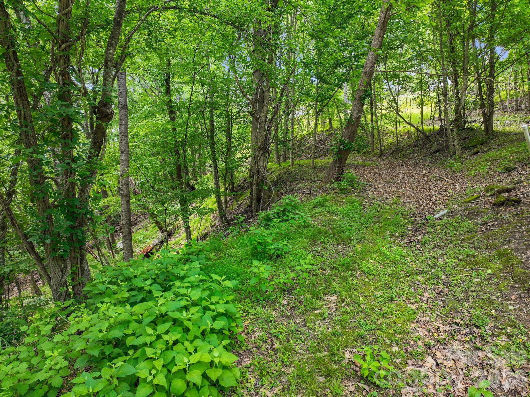 Lot at 9999 Glen Eagles Lane, Mills River, photo 7 of 15