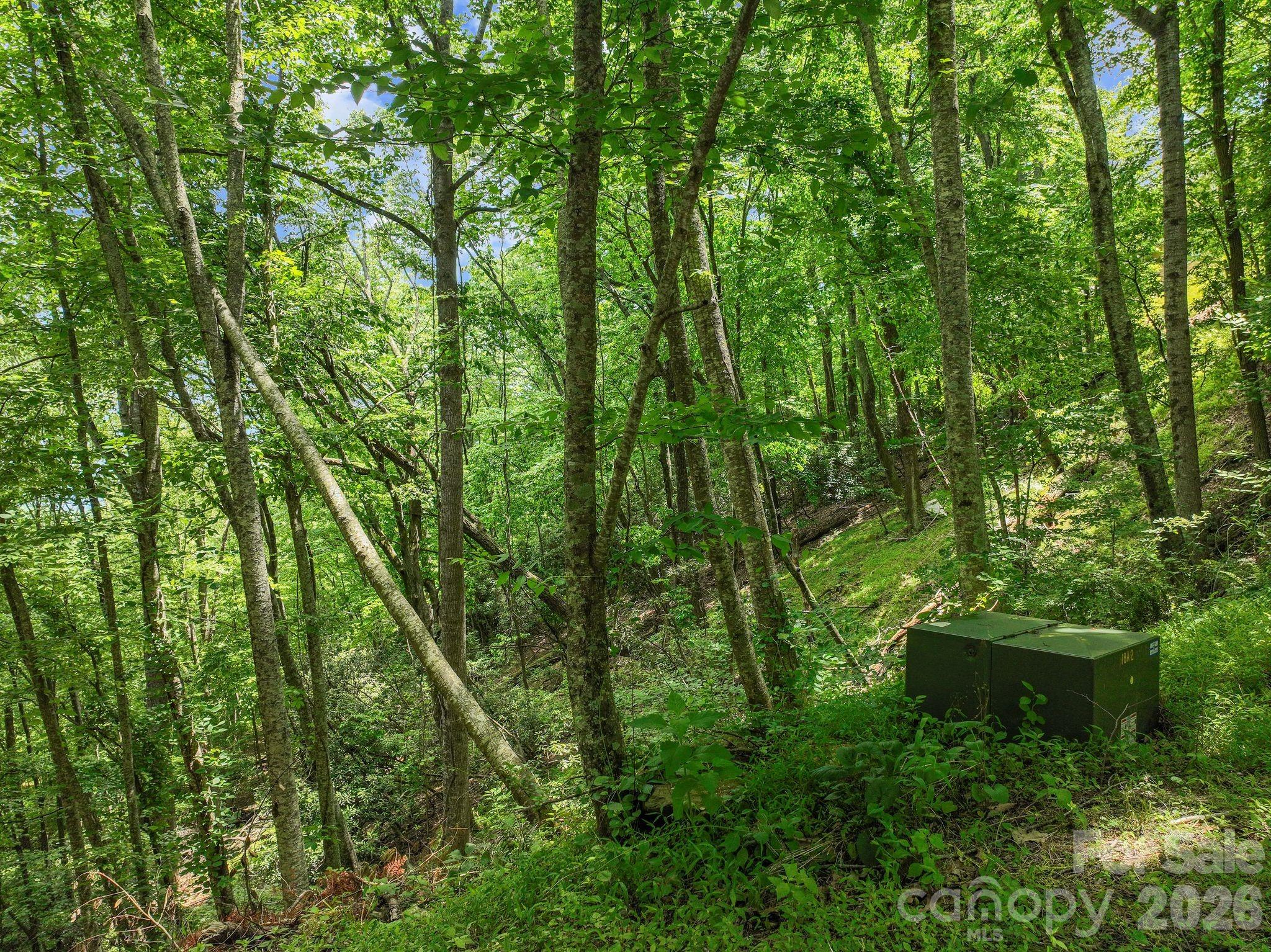 Lot at 9999 Glen Eagles Lane, Mills River, photo 11 of 15