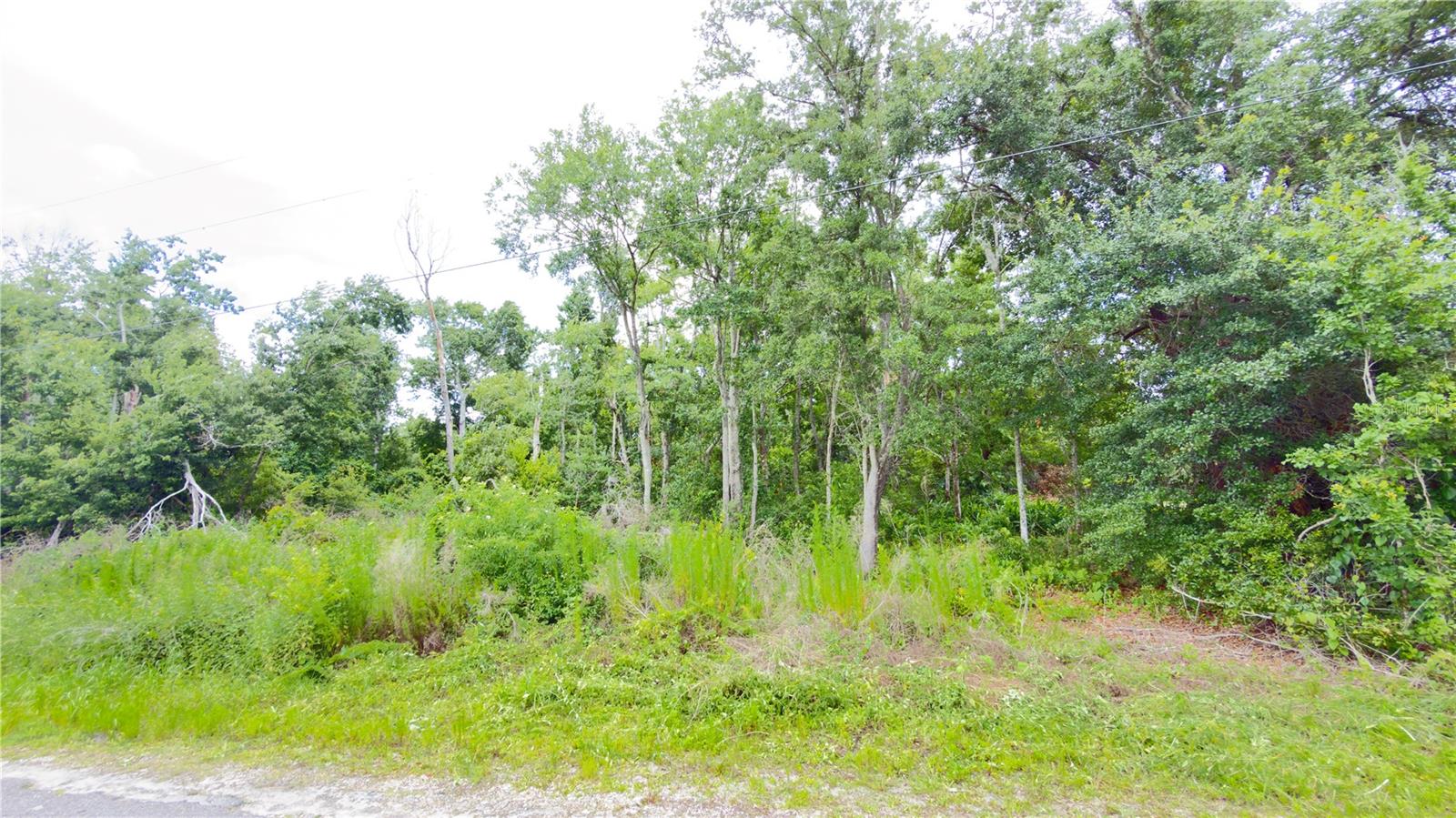 7402 LAND DR