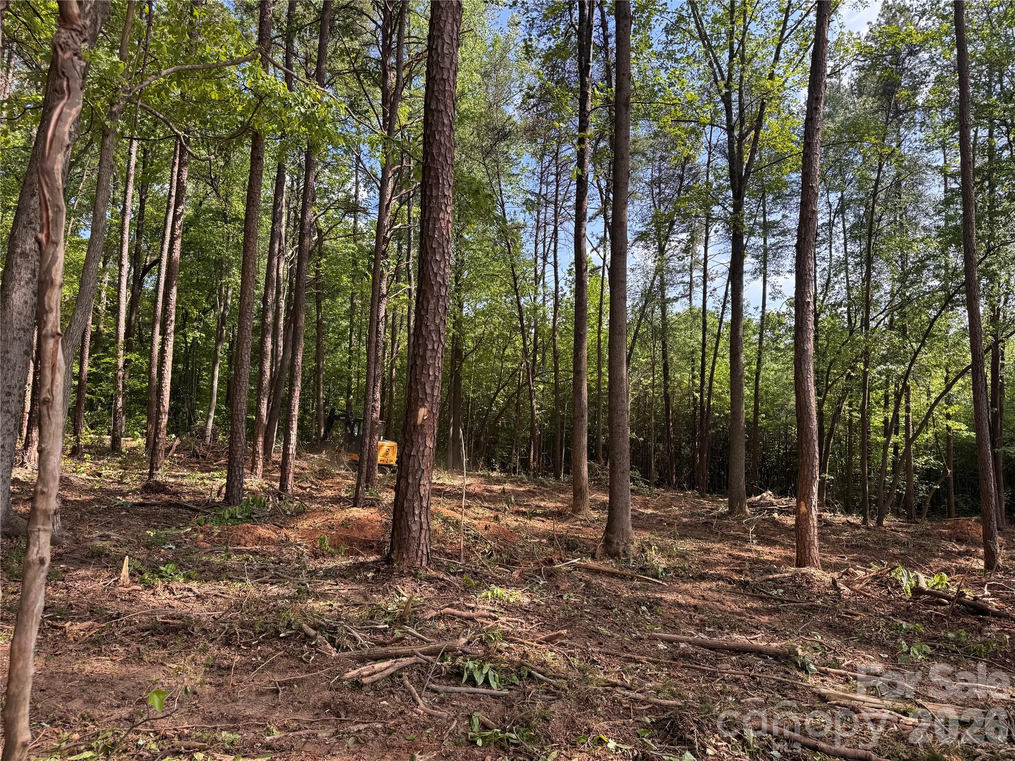 Acreage at 232 Fern Hill Road, Troutman, photo 2 of 2