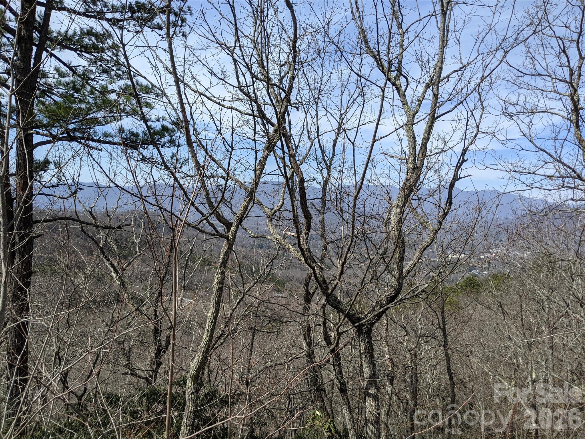 Lot at 124 Settings Boulevard, Black Mountain, photo 4 of 16