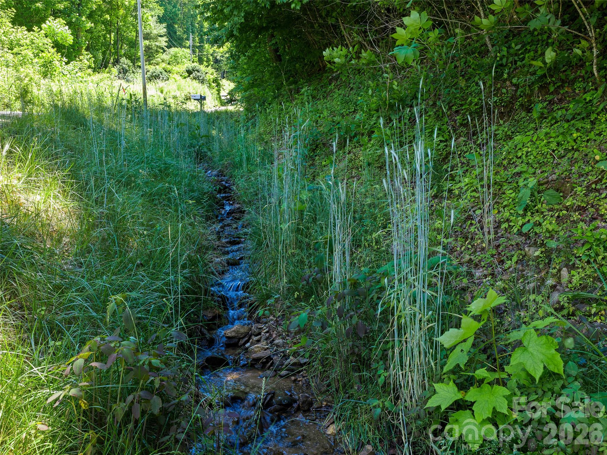 Acreage at 0 Moody Mountain Road, Burnsville, photo 3 of 16