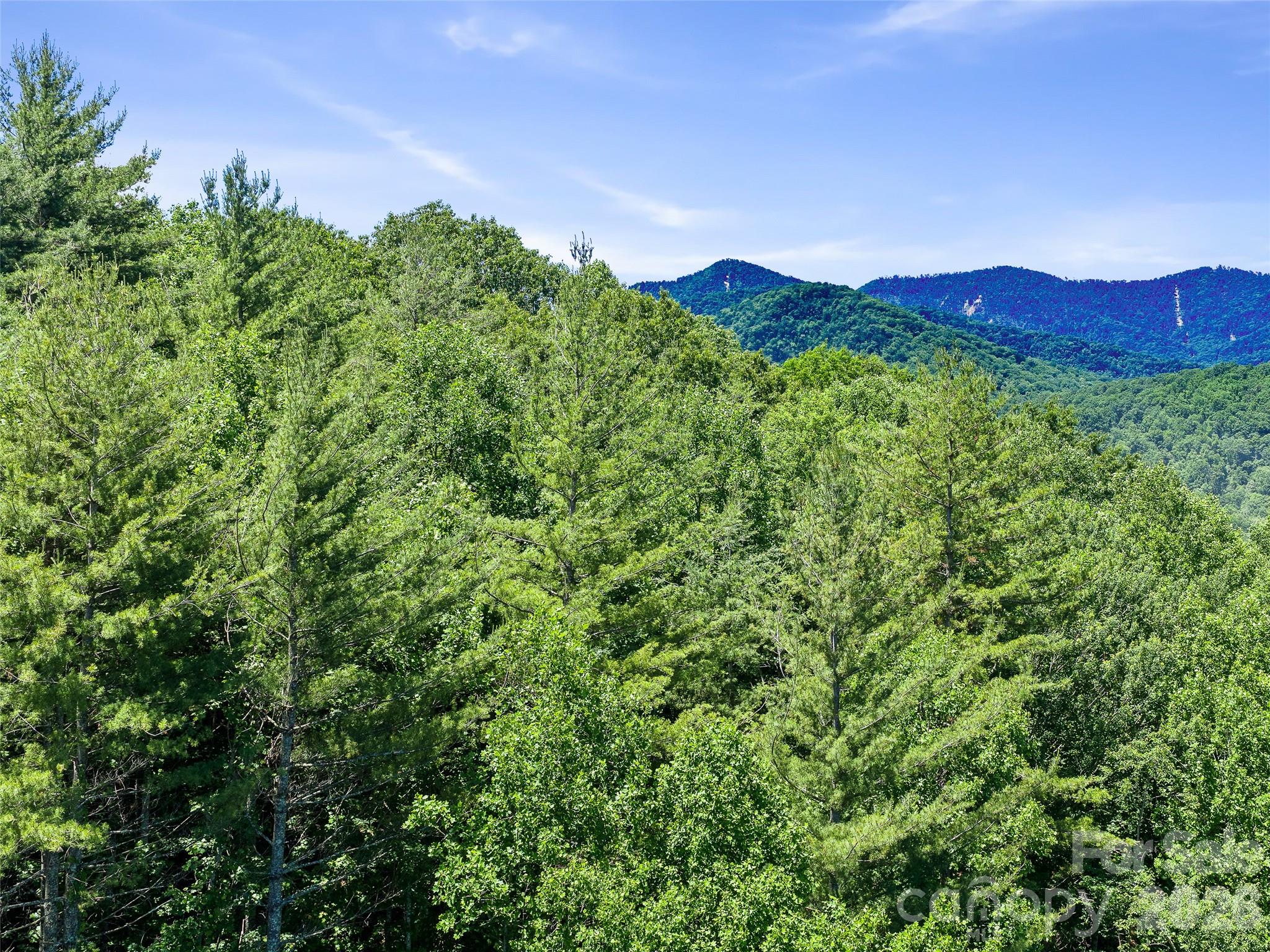 Acreage at 0 Moody Mountain Road, Burnsville, photo 5 of 16