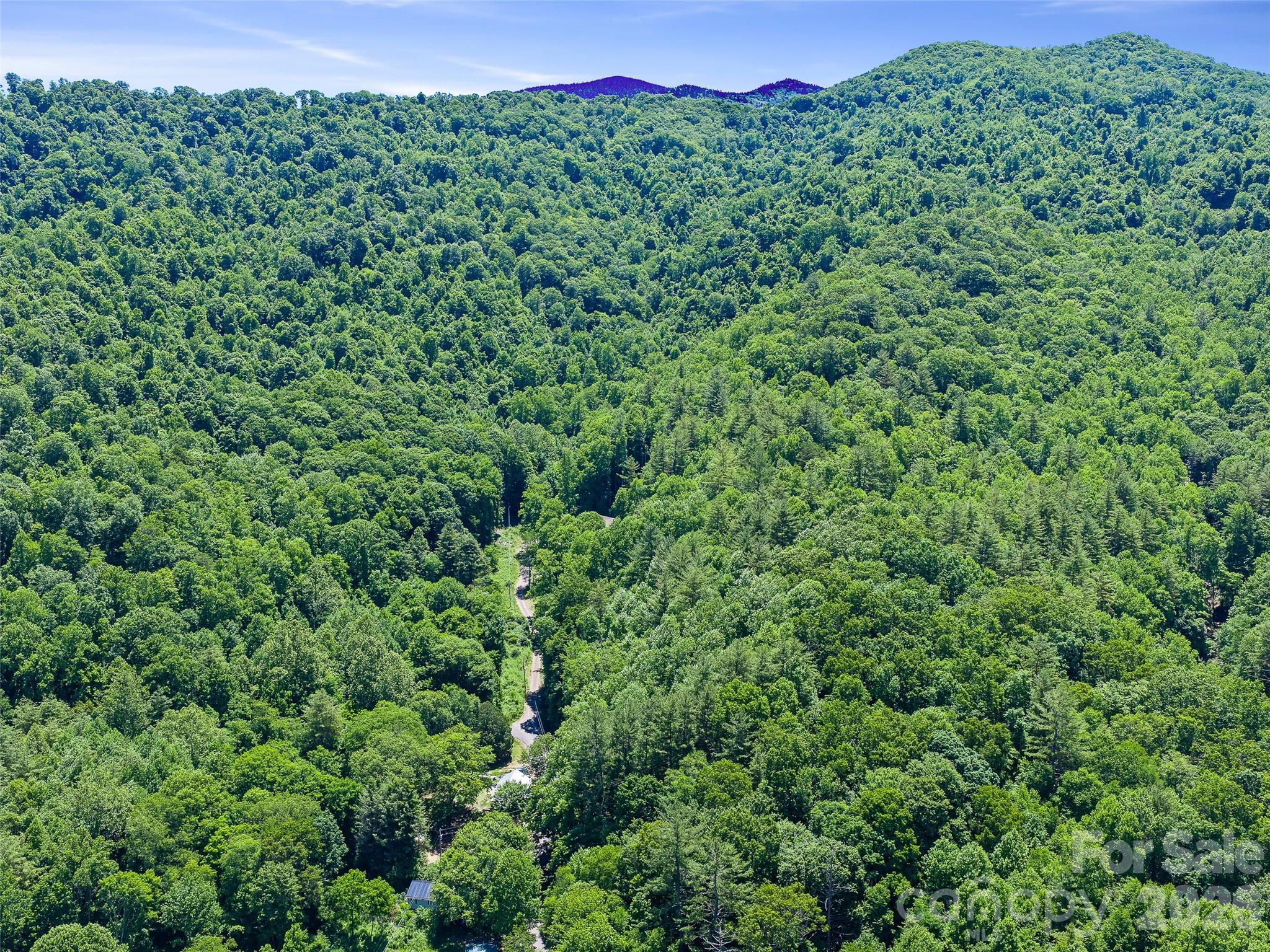 Acreage at 0 Moody Mountain Road, Burnsville, photo 11 of 16