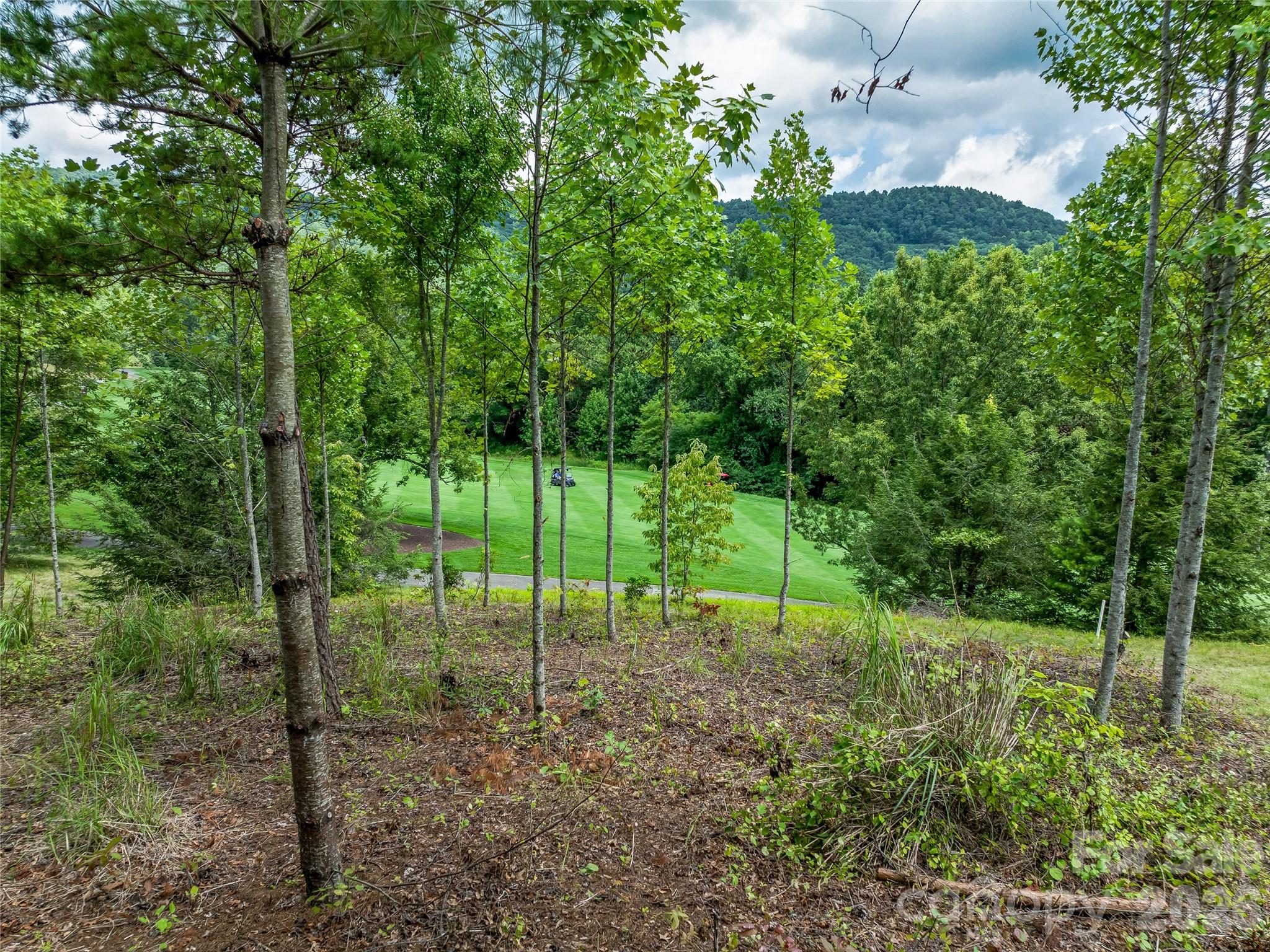 Lot at 1822 Bella Vista Court, Arden, photo 3 of 27