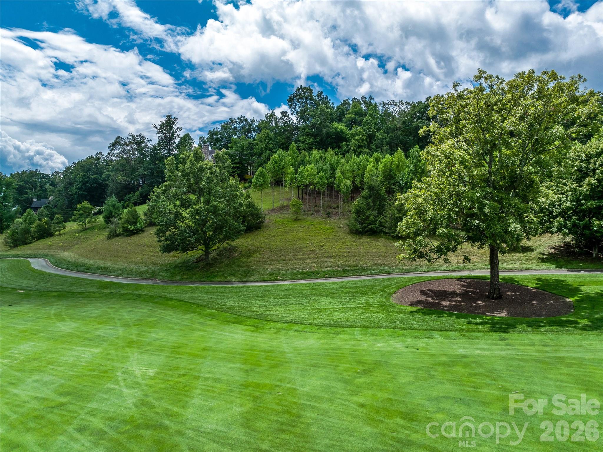 Lot at 1822 Bella Vista Court, Arden, photo 16 of 27