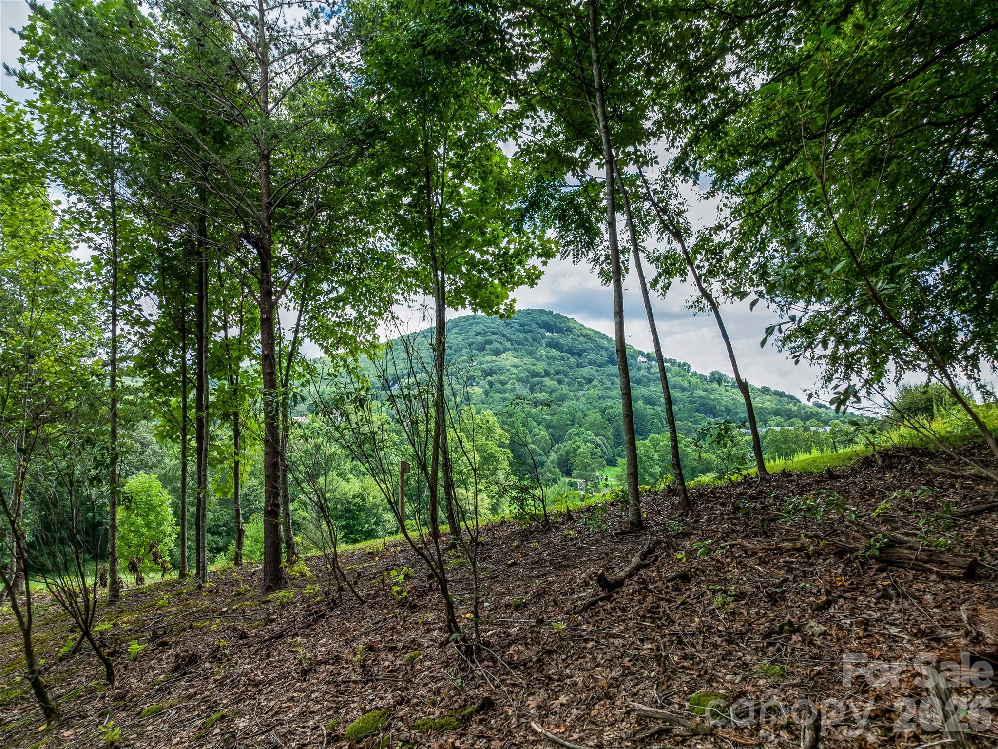 Lot at 1822 Bella Vista Court, Arden, photo 23 of 27