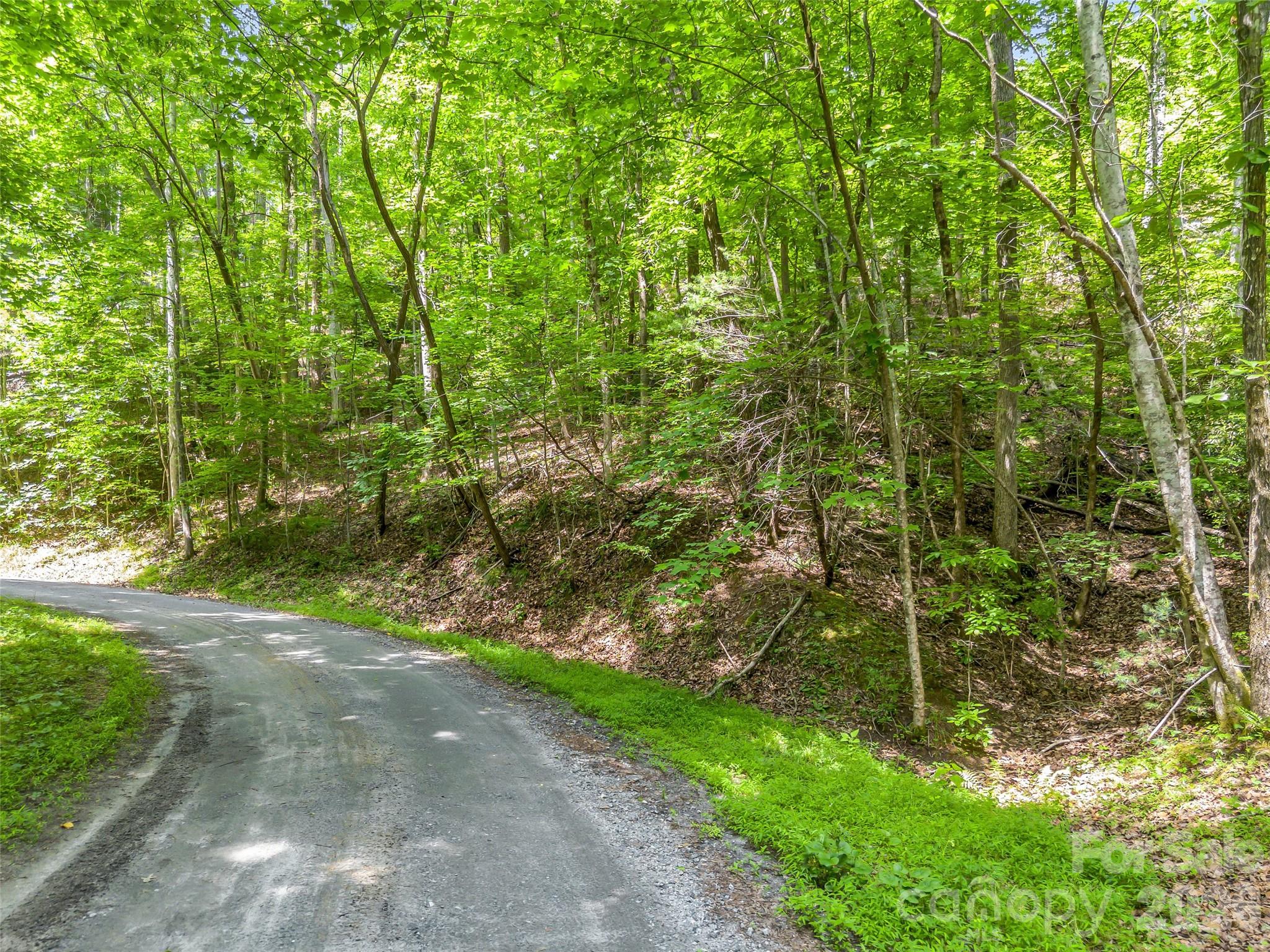 Lot at 00 Chipmonk Trail, Lake Lure, photo 3 of 29