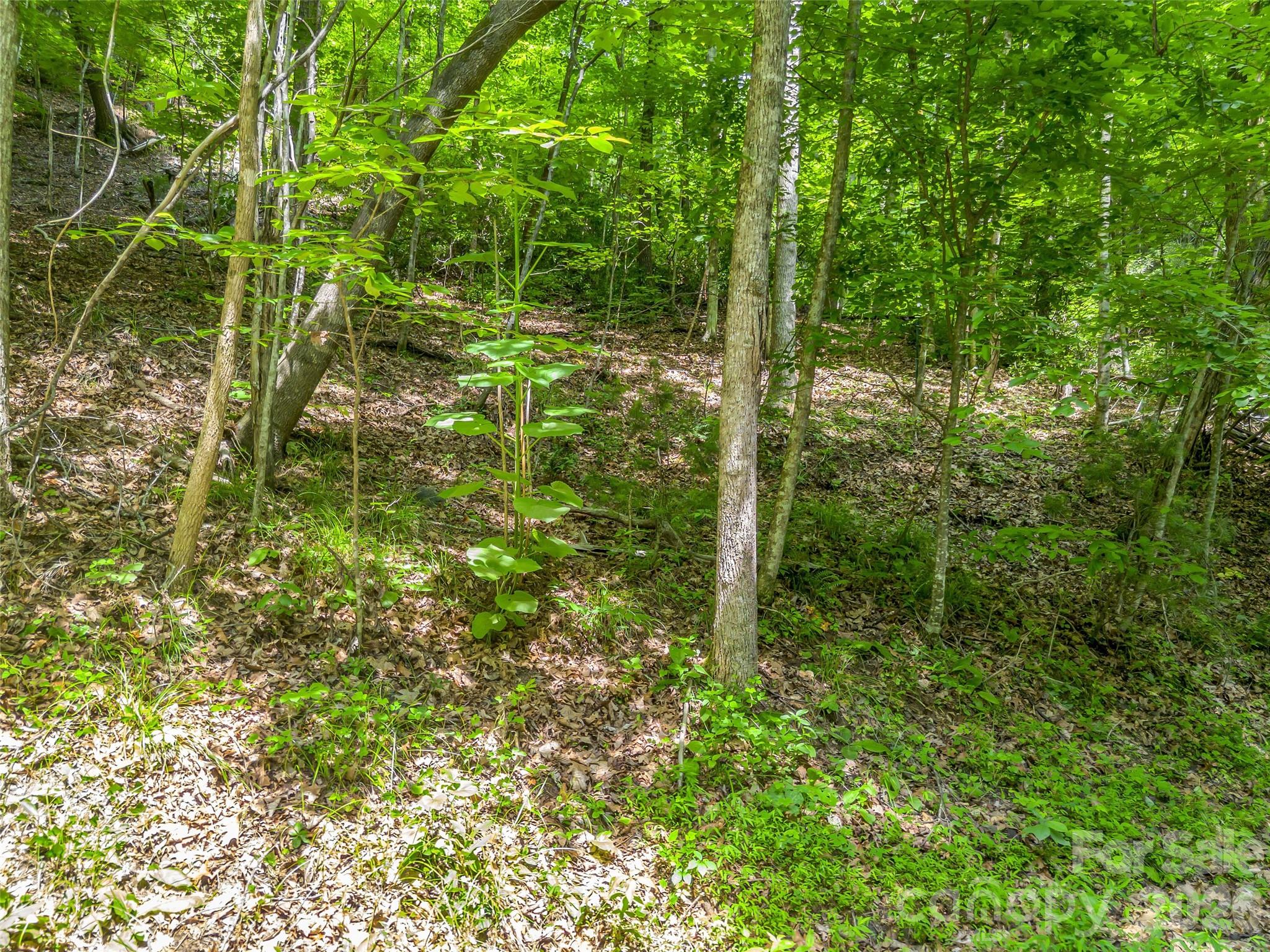Lot at 00 Chipmonk Trail, Lake Lure, photo 4 of 29