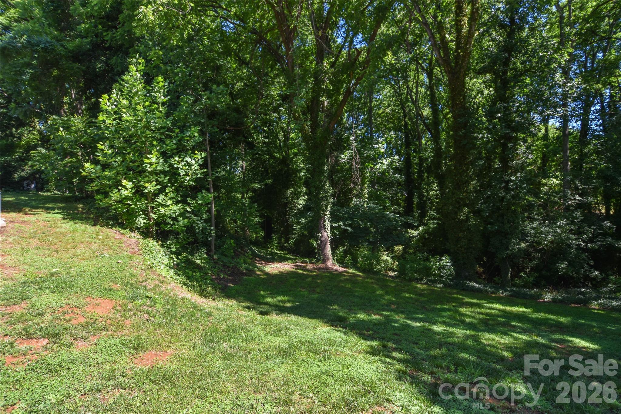 Private Backyard - 345 W Lowrance Avenue, Mooresville