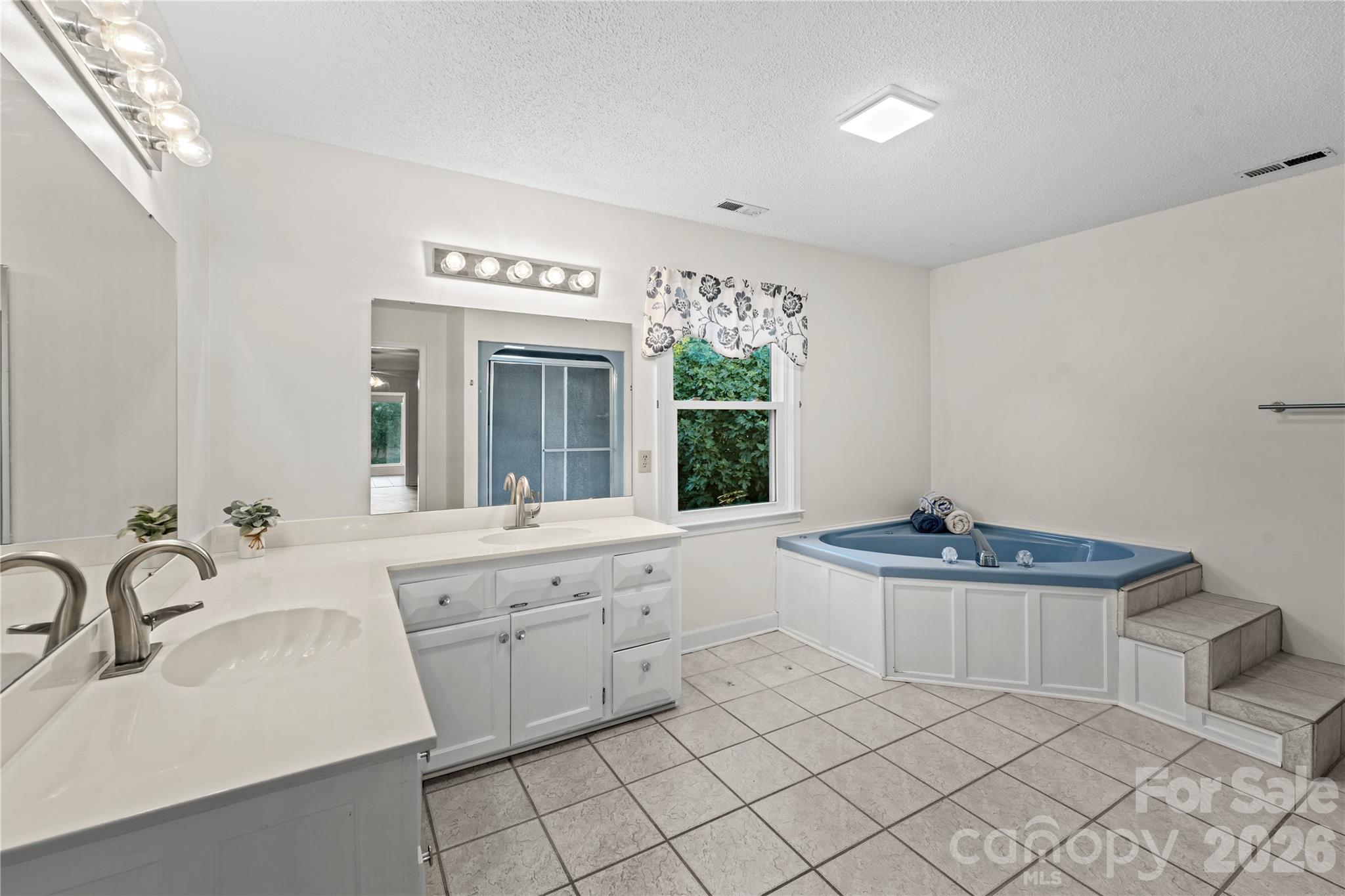 Spacious en suite with double sinks, soaking tub and shower - 47209 Paradise Lane, Norwood