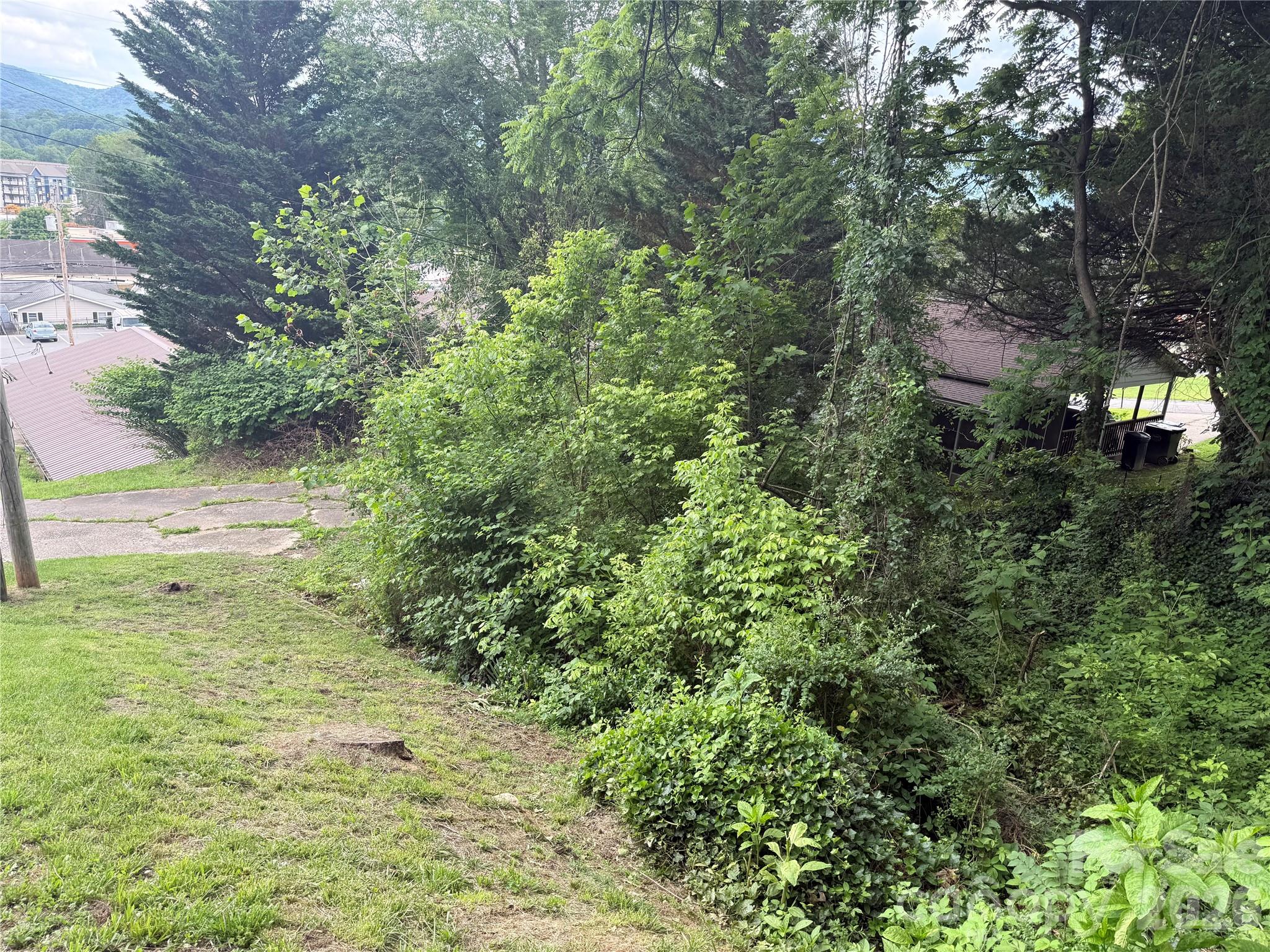 Lot at 31 Paralee Lane, Waynesville, photo 10 of 12