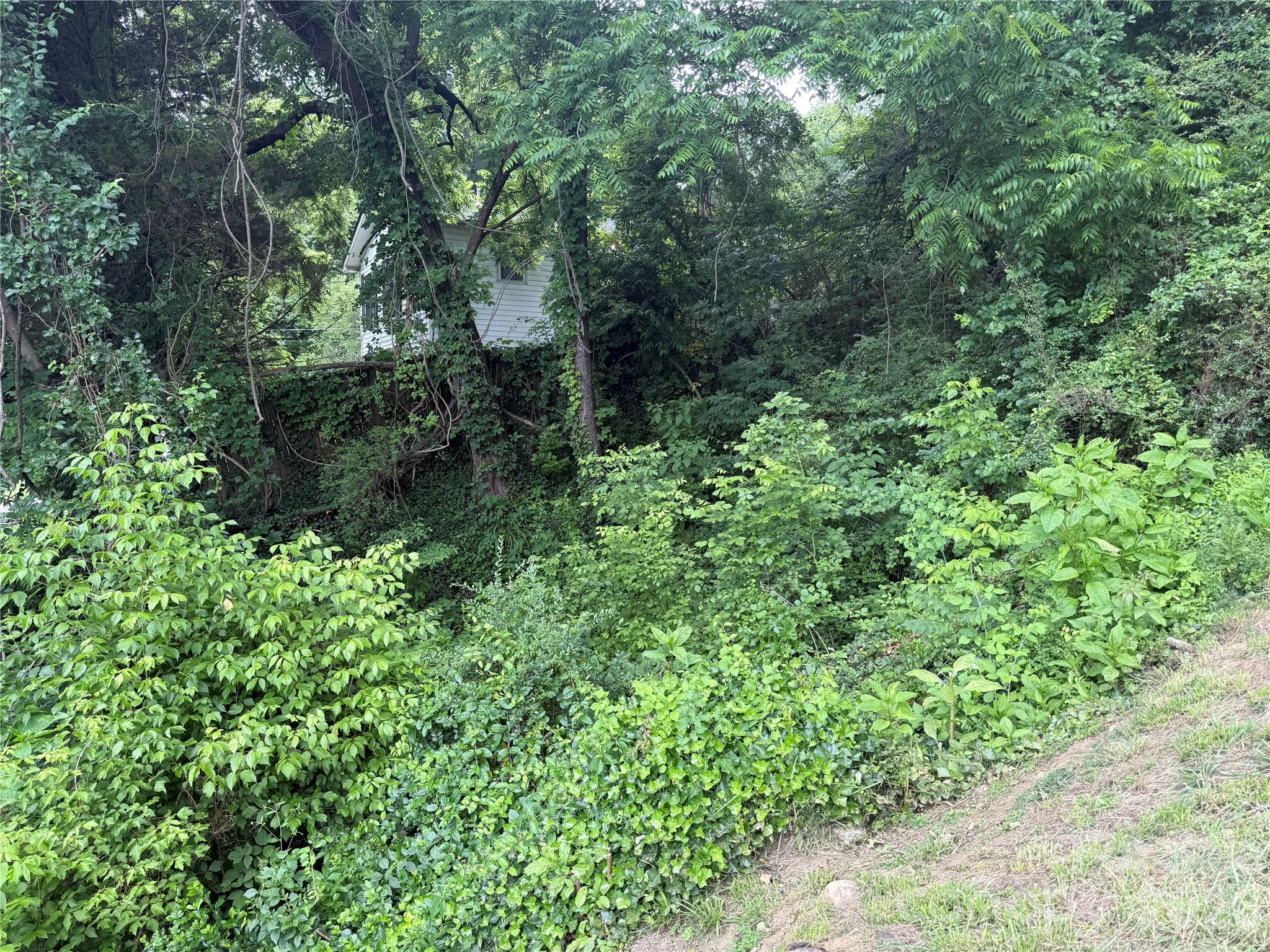 Lot at 31 Paralee Lane, Waynesville, photo 11 of 12