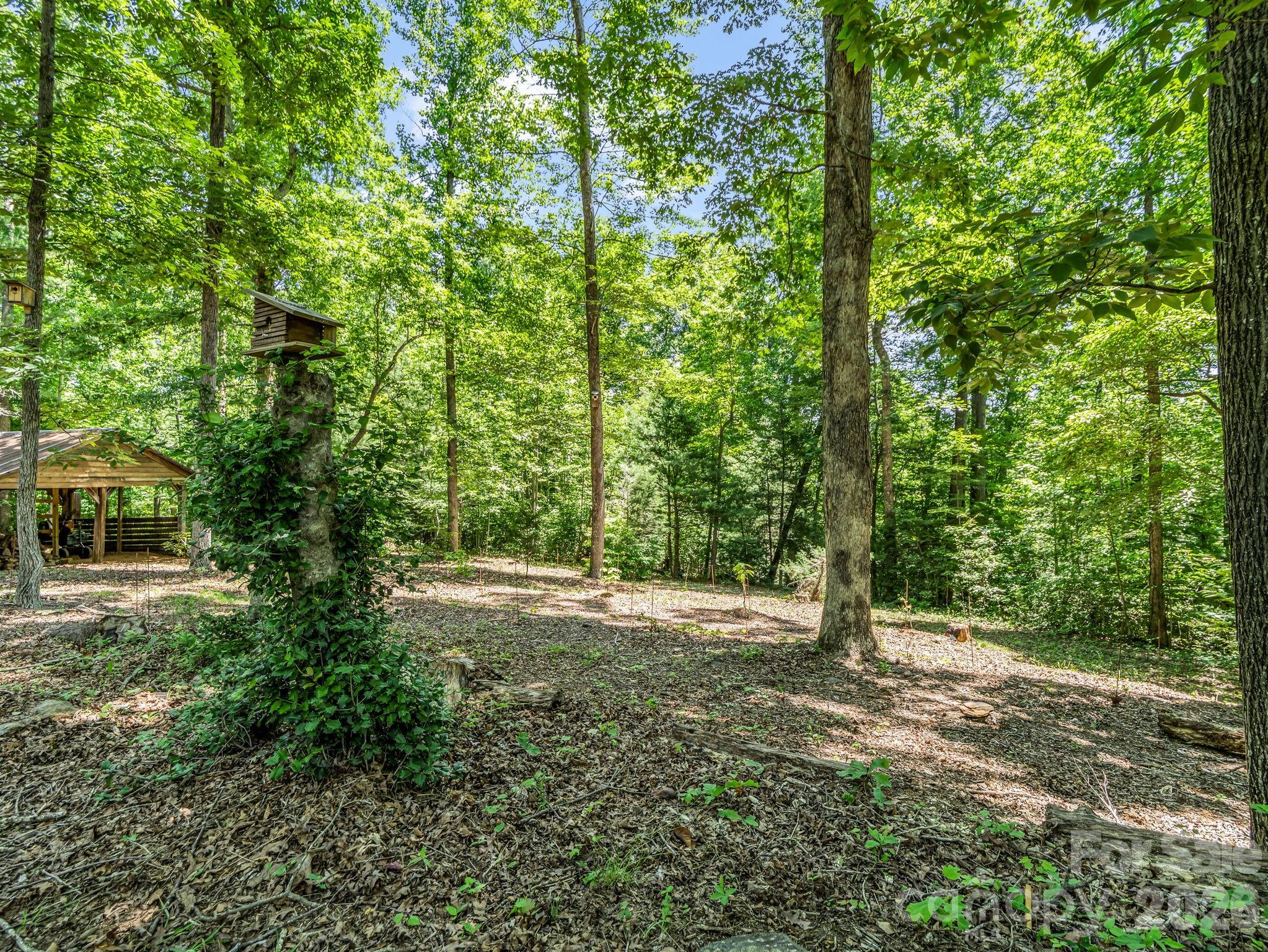 Large, mature shade trees provide excellent coverage throughout the property, complemented by a low-maintenance, easy-care yard. - 670 Cedar Creek Road, Lake Lure