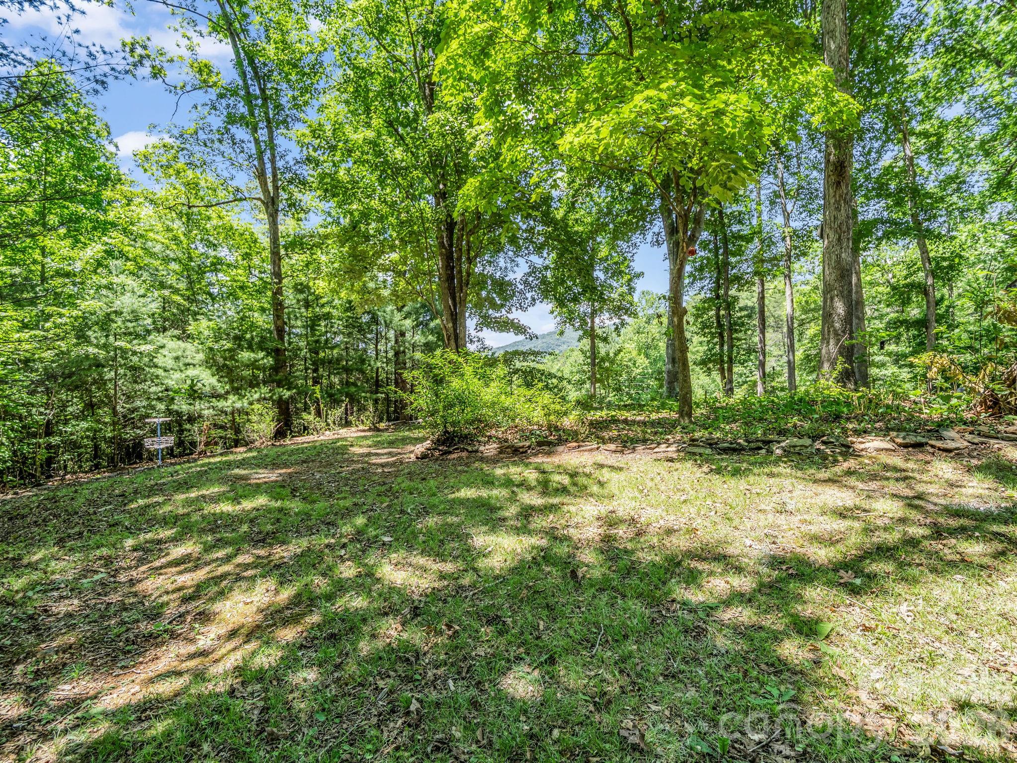 Large, mature shade trees provide excellent coverage throughout the property, complemented by a low-maintenance, easy-care yard. - 670 Cedar Creek Road, Lake Lure