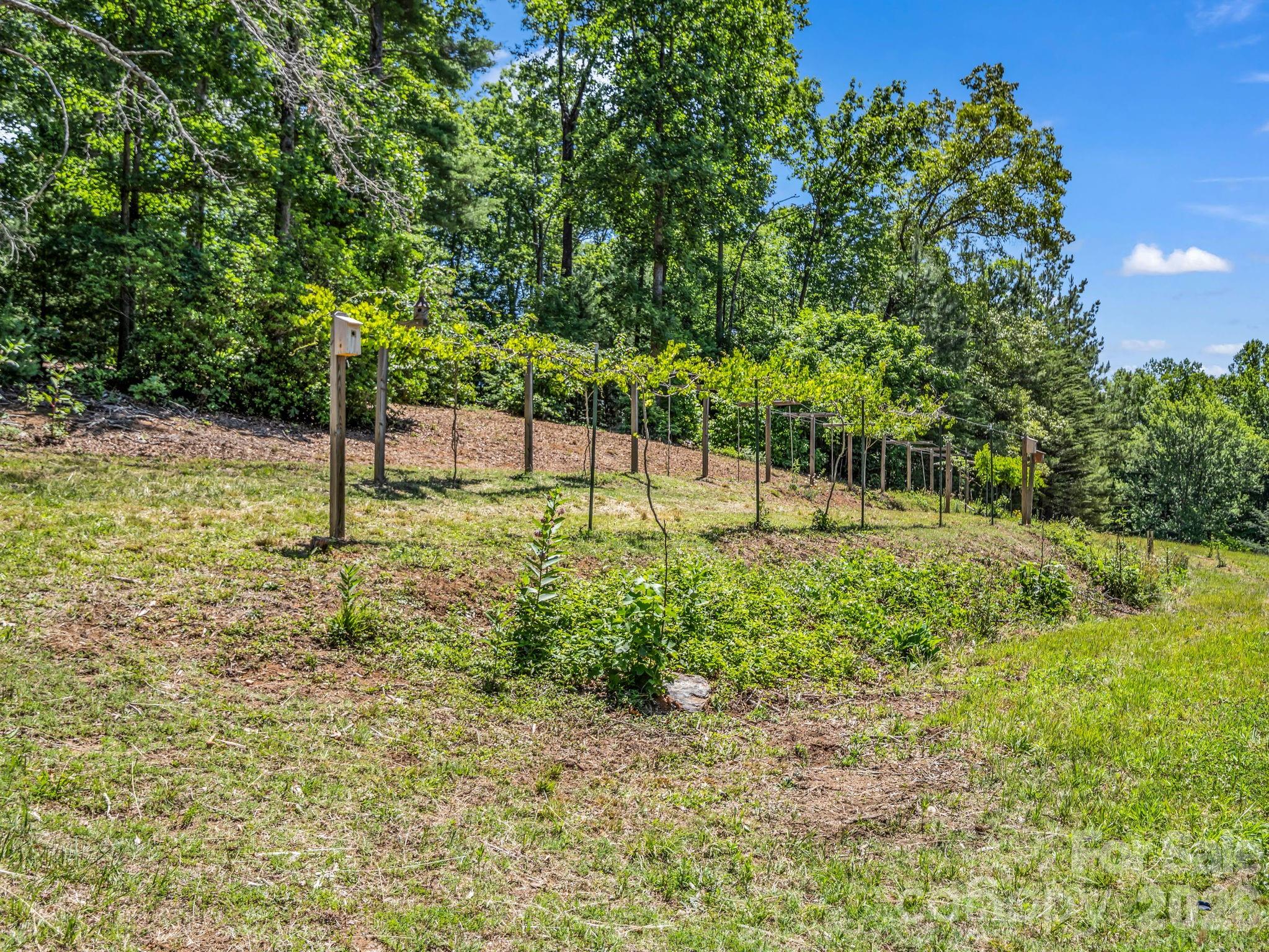 Wait until you see all this offers! Come on! :) - 670 Cedar Creek Road, Lake Lure