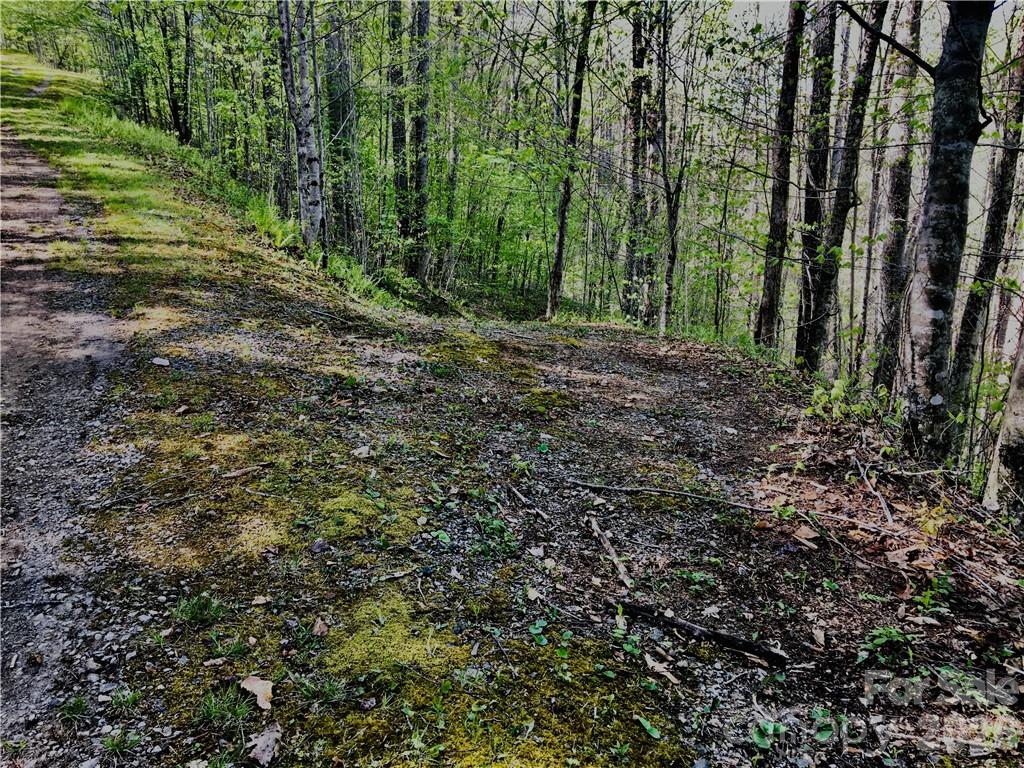 Lot at 99 Fern Hill Drive, Mars Hill, photo 2 of 2