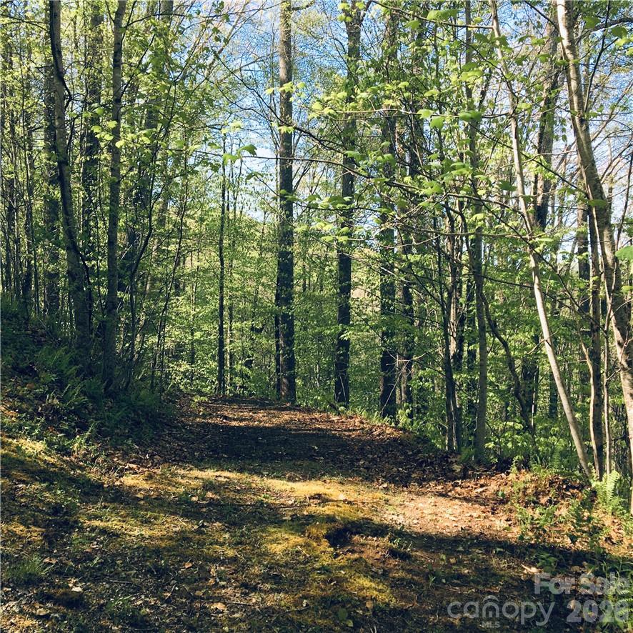 Lot at 57 Fern Hill Drive, Mars Hill, photo 2 of 8