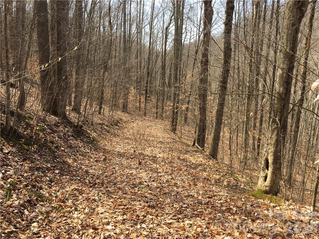 Lot at 57 Fern Hill Drive, Mars Hill, photo 5 of 8