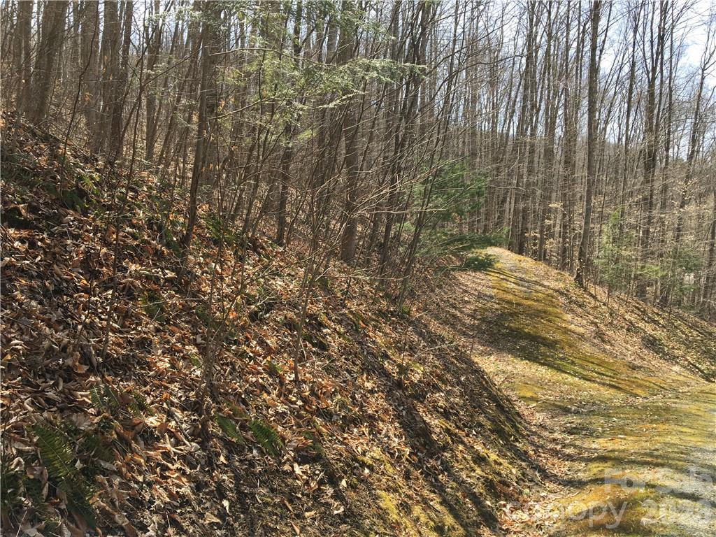 Lot at 57 Fern Hill Drive, Mars Hill, photo 7 of 8
