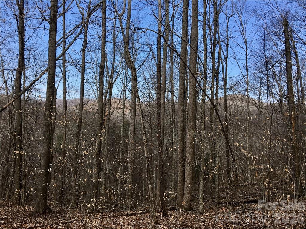 Lot at 57 Fern Hill Drive, Mars Hill, photo 8 of 8