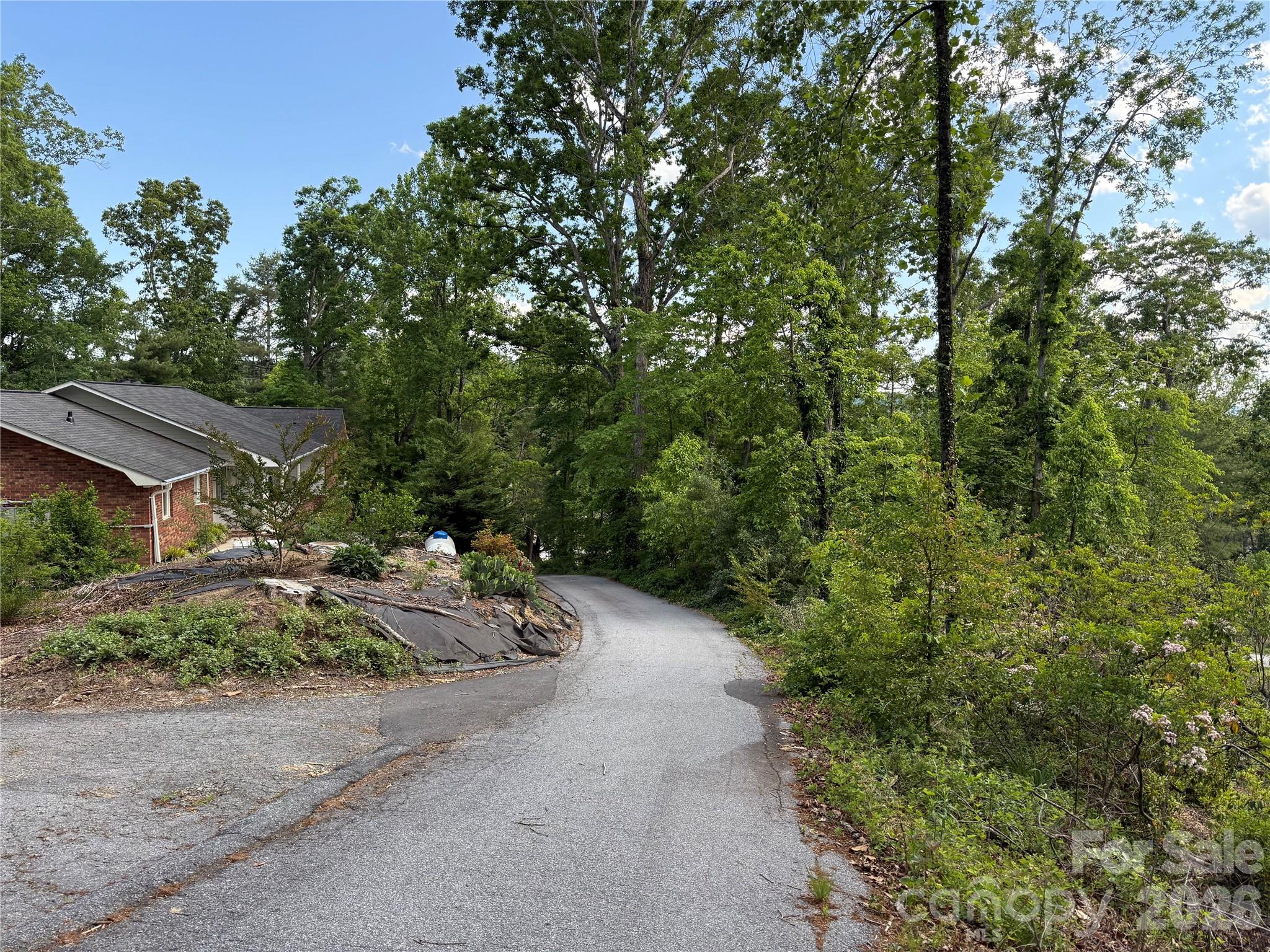 Lot at 53 Will Road, Hendersonville, photo 2 of 8