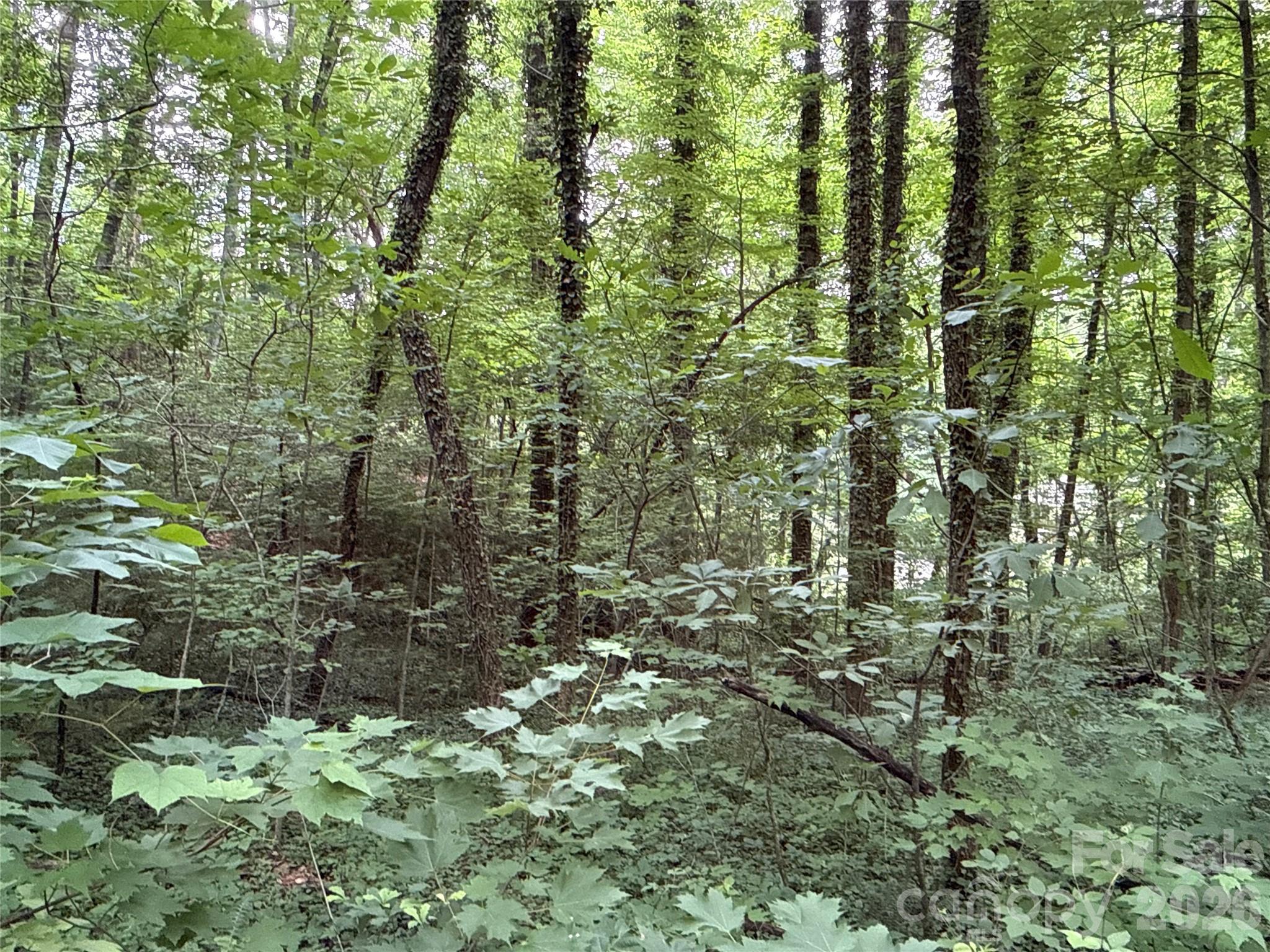Lot at 9999 Sunset Drive, Black Mountain, photo 5 of 14
