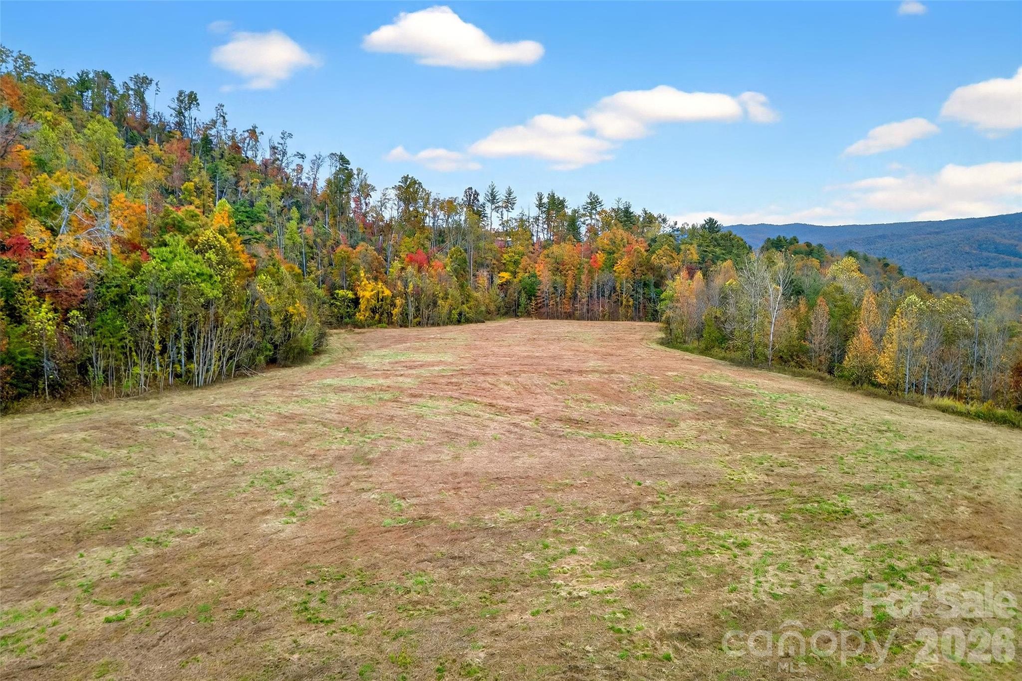 Acreage at 00 Hwy 221 Highway N, Marion, photo 2 of 16
