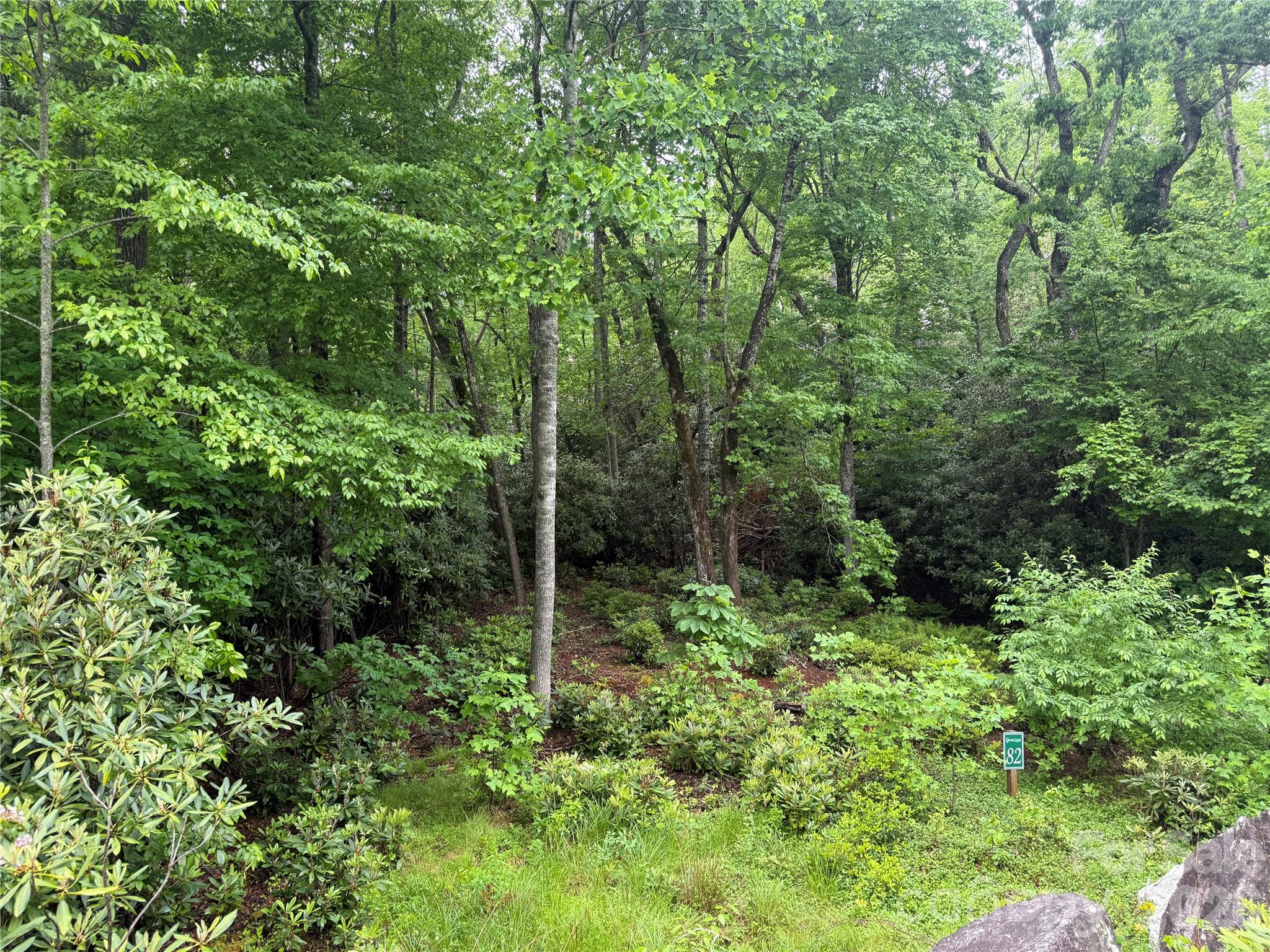 Lot at TBD Dogwood Trail, Spruce Pine, photo 4 of 41