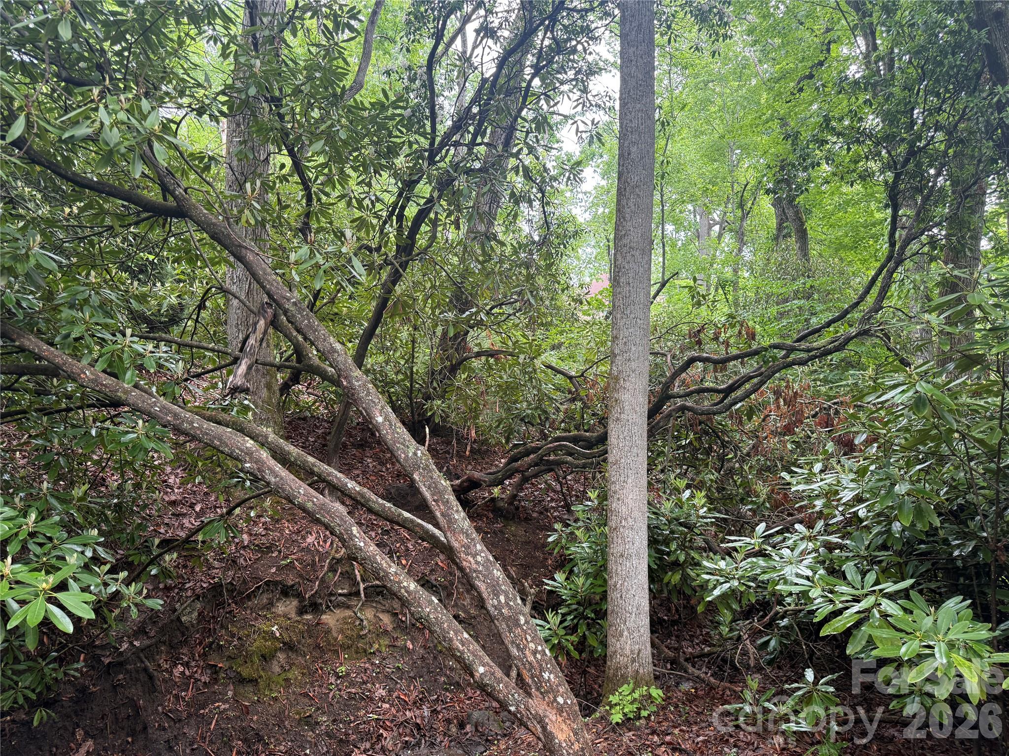 Lot at TBD Dogwood Trail, Spruce Pine, photo 13 of 41