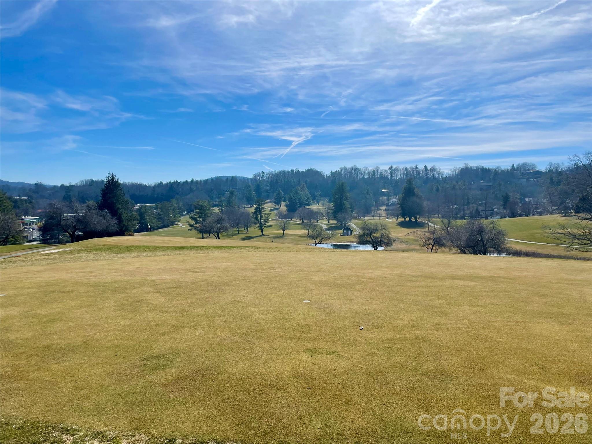 Lot at TBD Dogwood Trail, Spruce Pine, photo 16 of 41