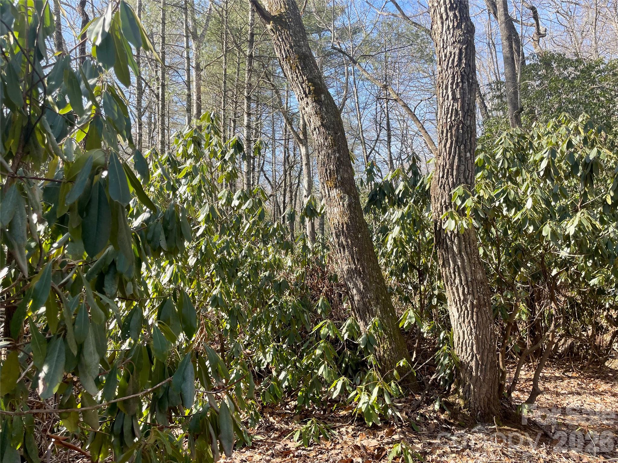 Lot at TBD Dogwood Trail, Spruce Pine, photo 26 of 41