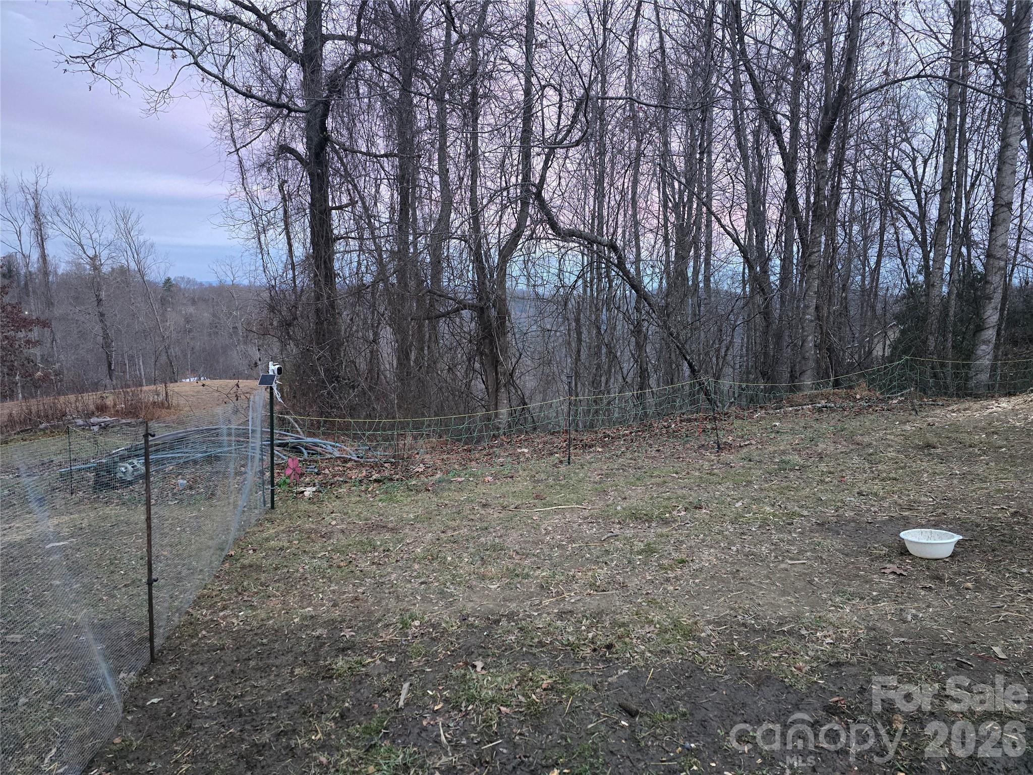 Winter view - 1480 Davis Mountain Road, Hendersonville