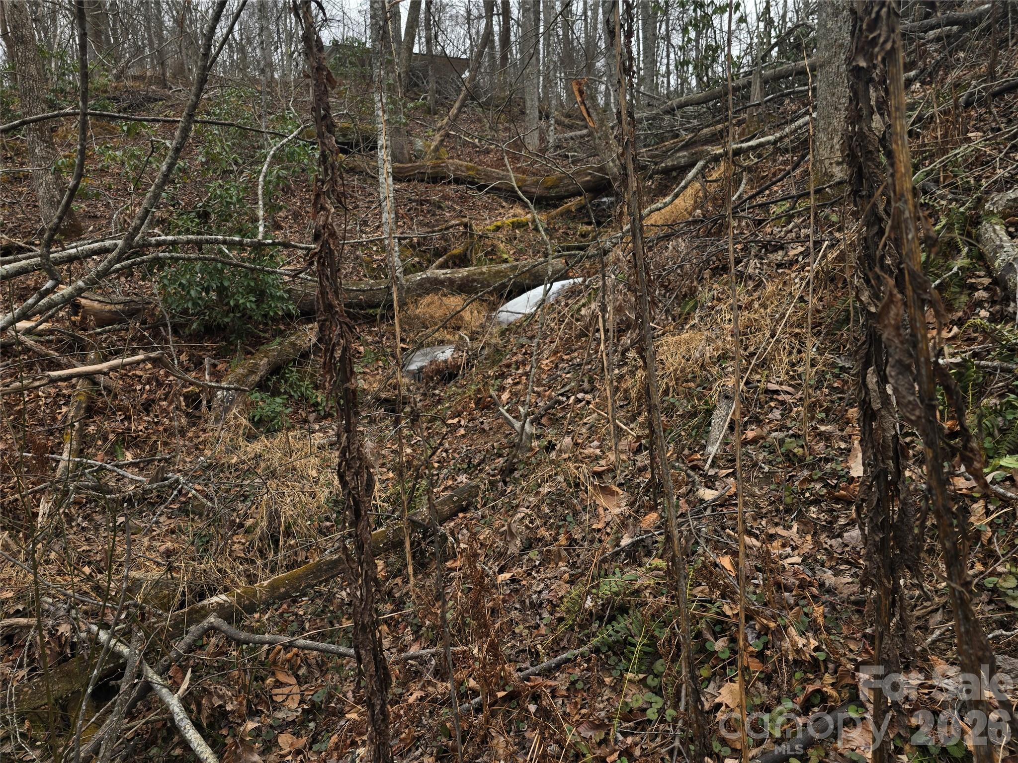 Winter waterfall- Frozen - 1480 Davis Mountain Road, Hendersonville