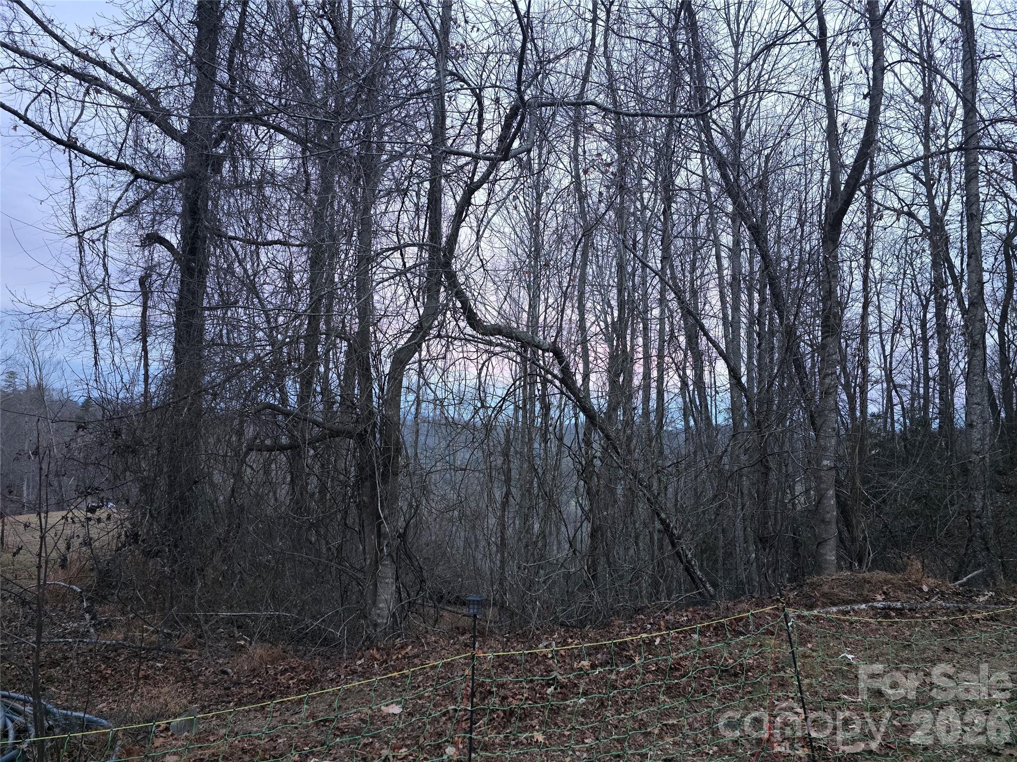 Winter views from parcel 1 - 1480 Davis Mountain Road, Hendersonville