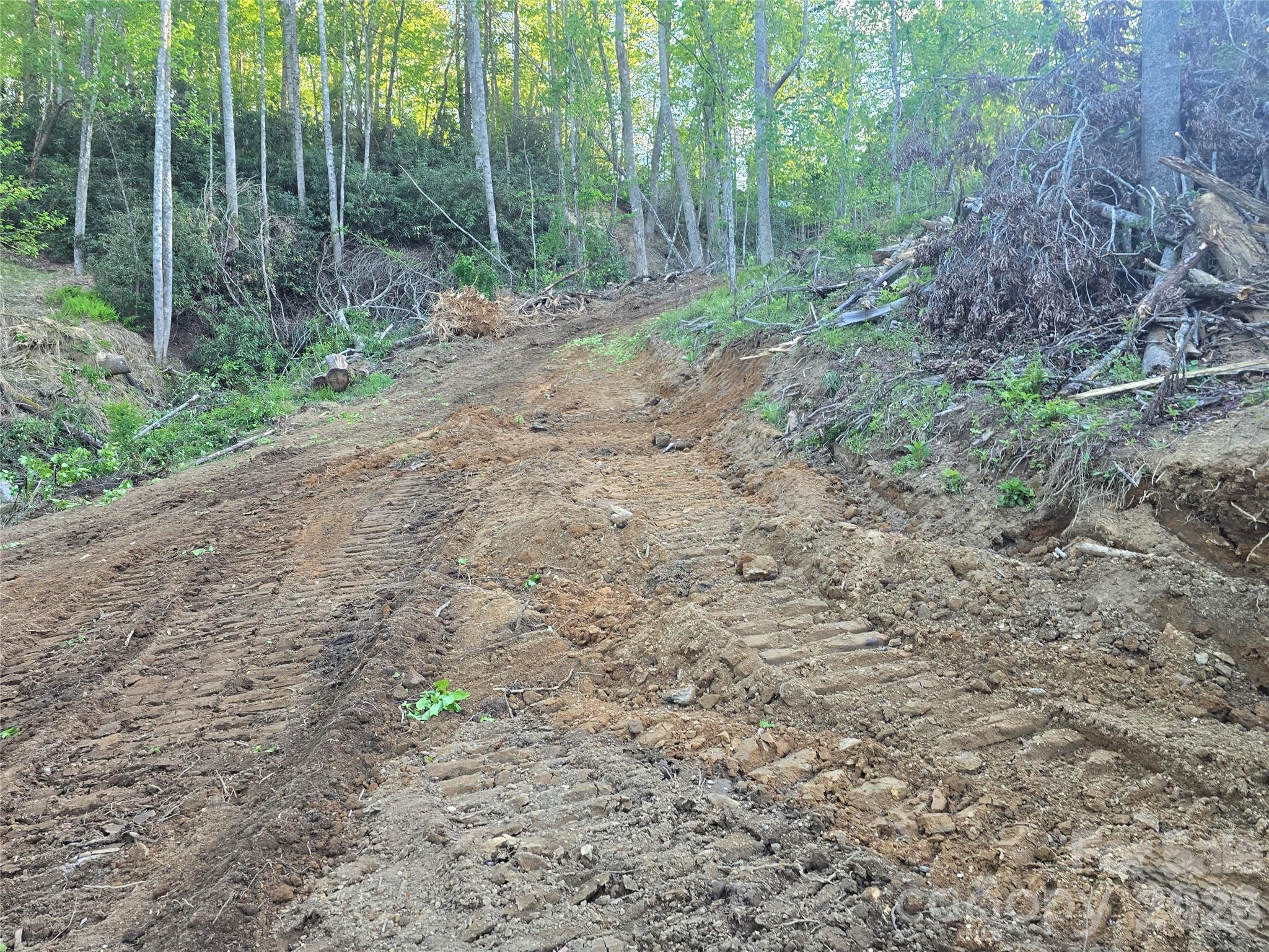 Road paths has been cut throughout Parcel 2 and 3. - 1480 Davis Mountain Road, Hendersonville