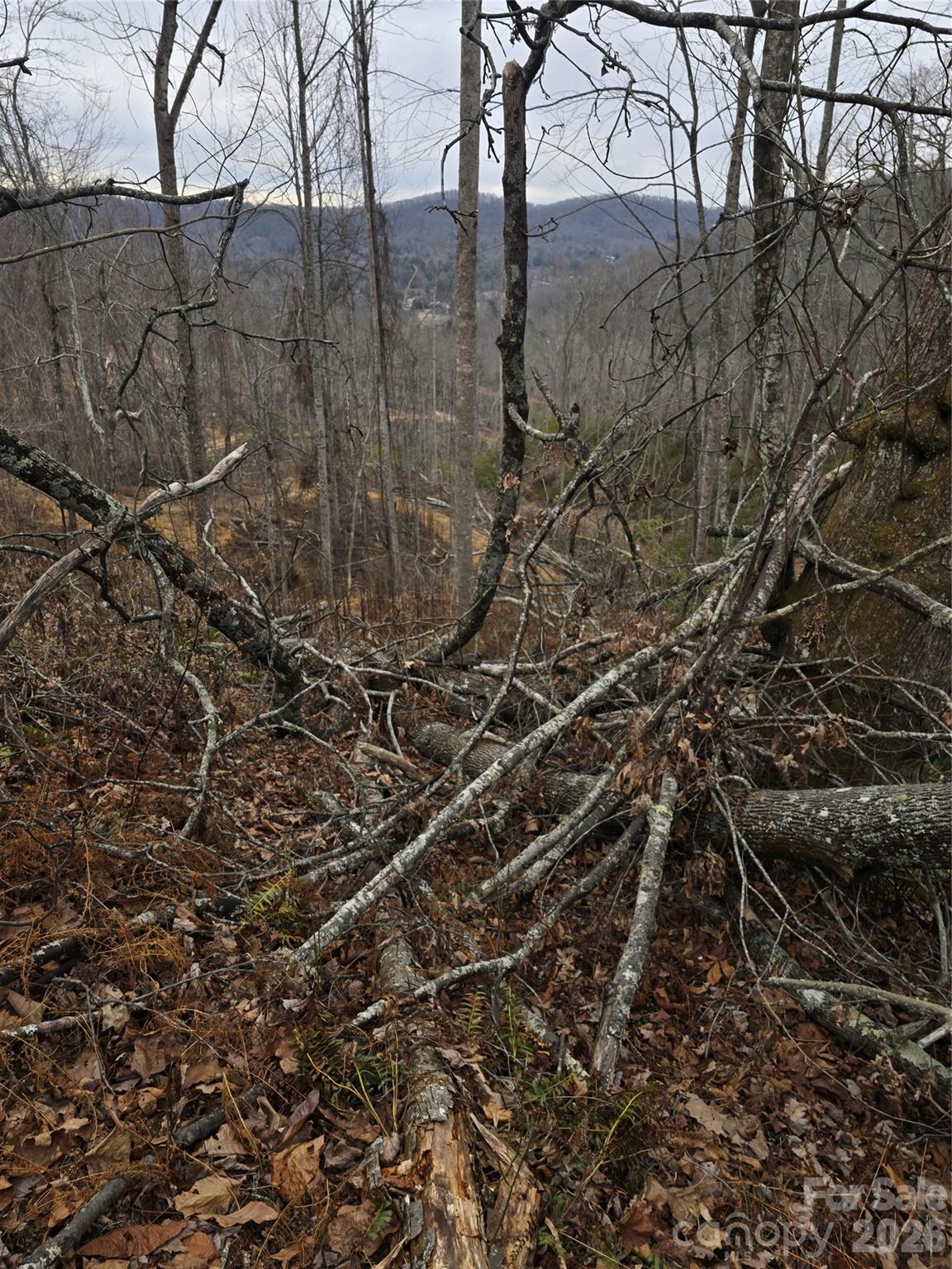 Winter views from Parcel 3 - 1480 Davis Mountain Road, Hendersonville