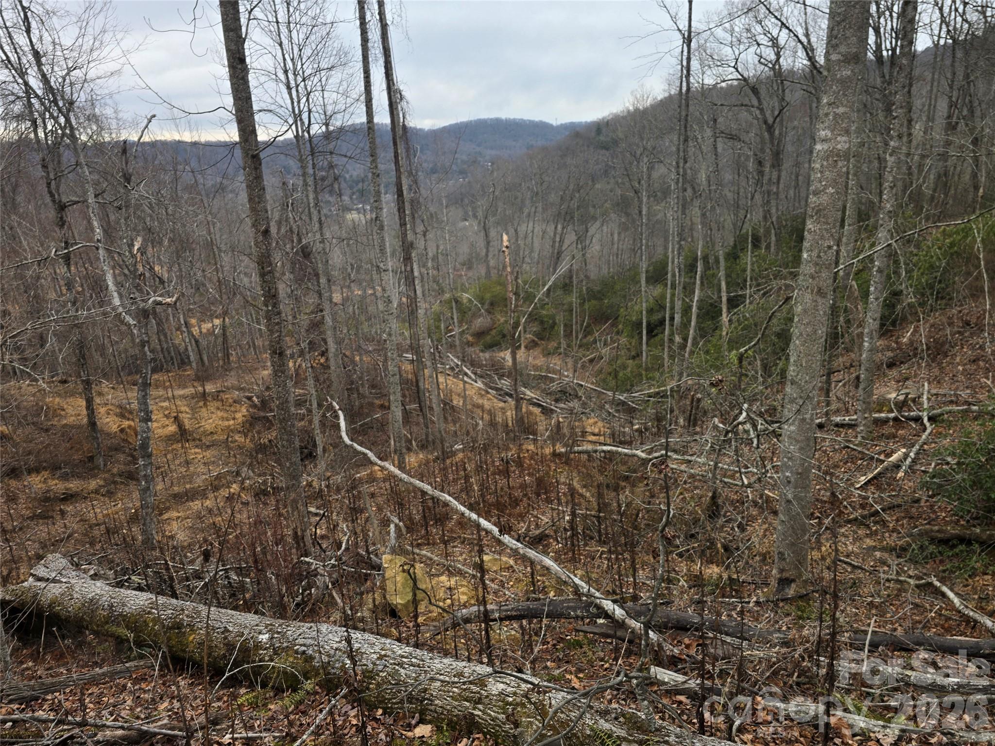 Parcel 2 looking at road cut outs throughout parcel 2 and 3 - 1480 Davis Mountain Road, Hendersonville
