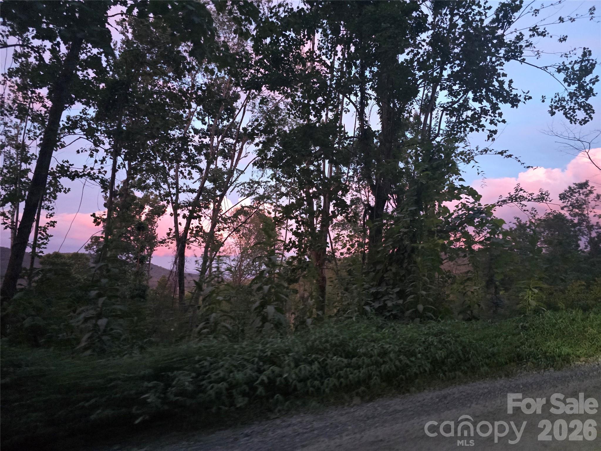 Nightview - 1480 Davis Mountain Road, Hendersonville