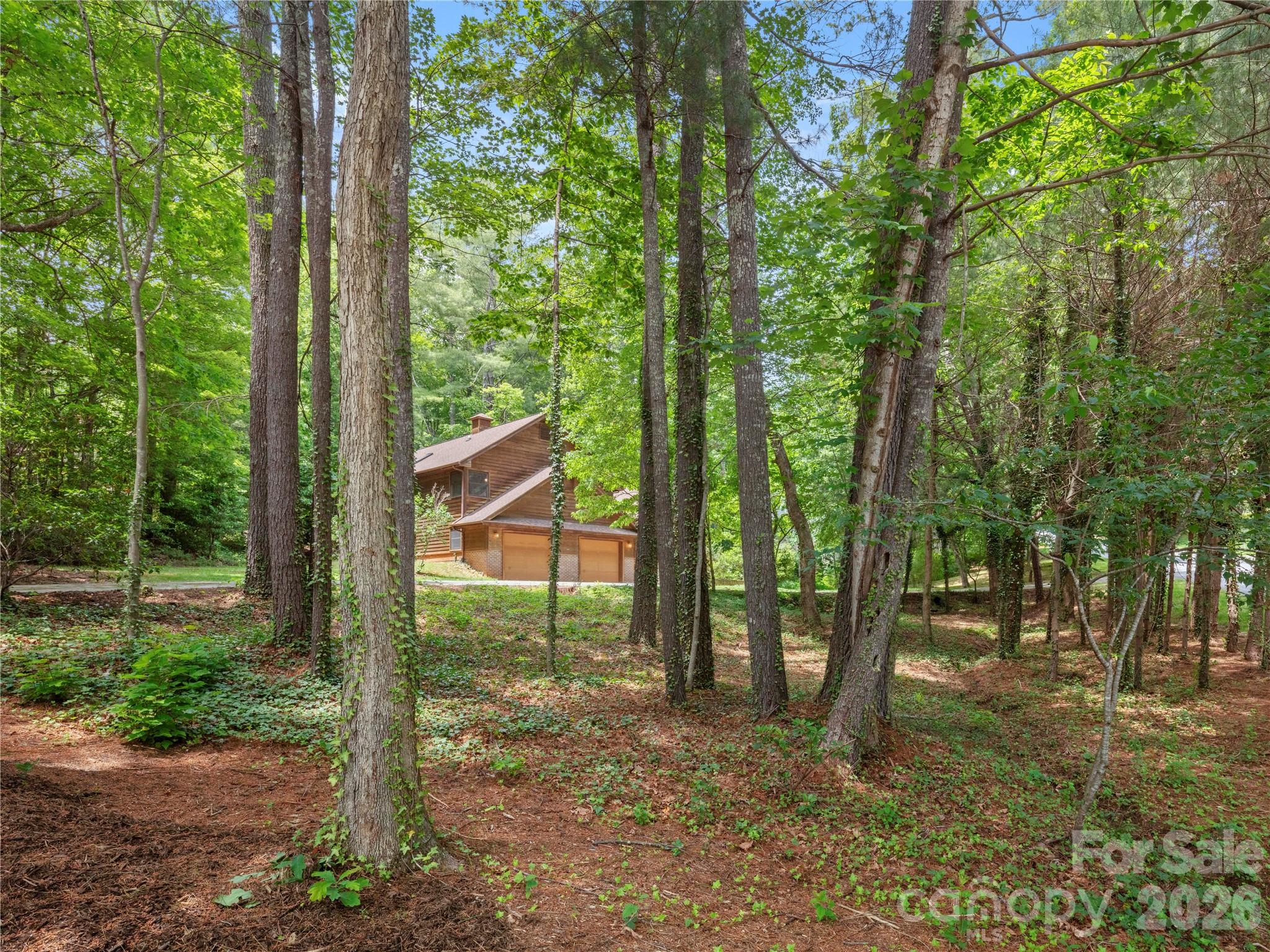 Single Family Residence at 11 Tree Top Drive, Arden, photo 9 of 44