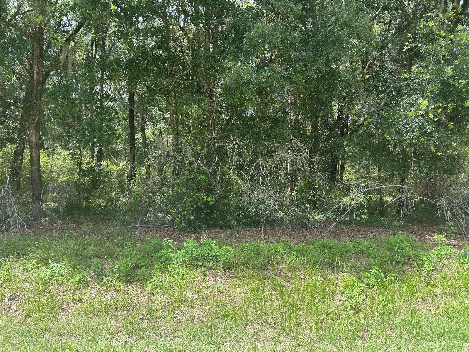 SW 111 LN