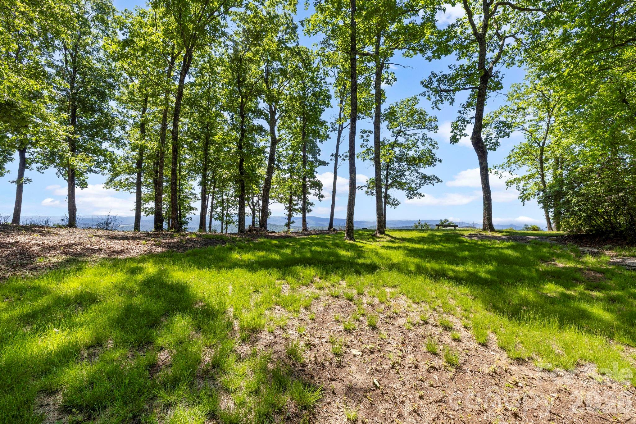 A beautifully cleared and grassy homesite surrounded by mature hardwoods, offering a peaceful setting with long-range mountain views visible through the trees. - 9999 Rocky Mountain Road, Lake Toxaway