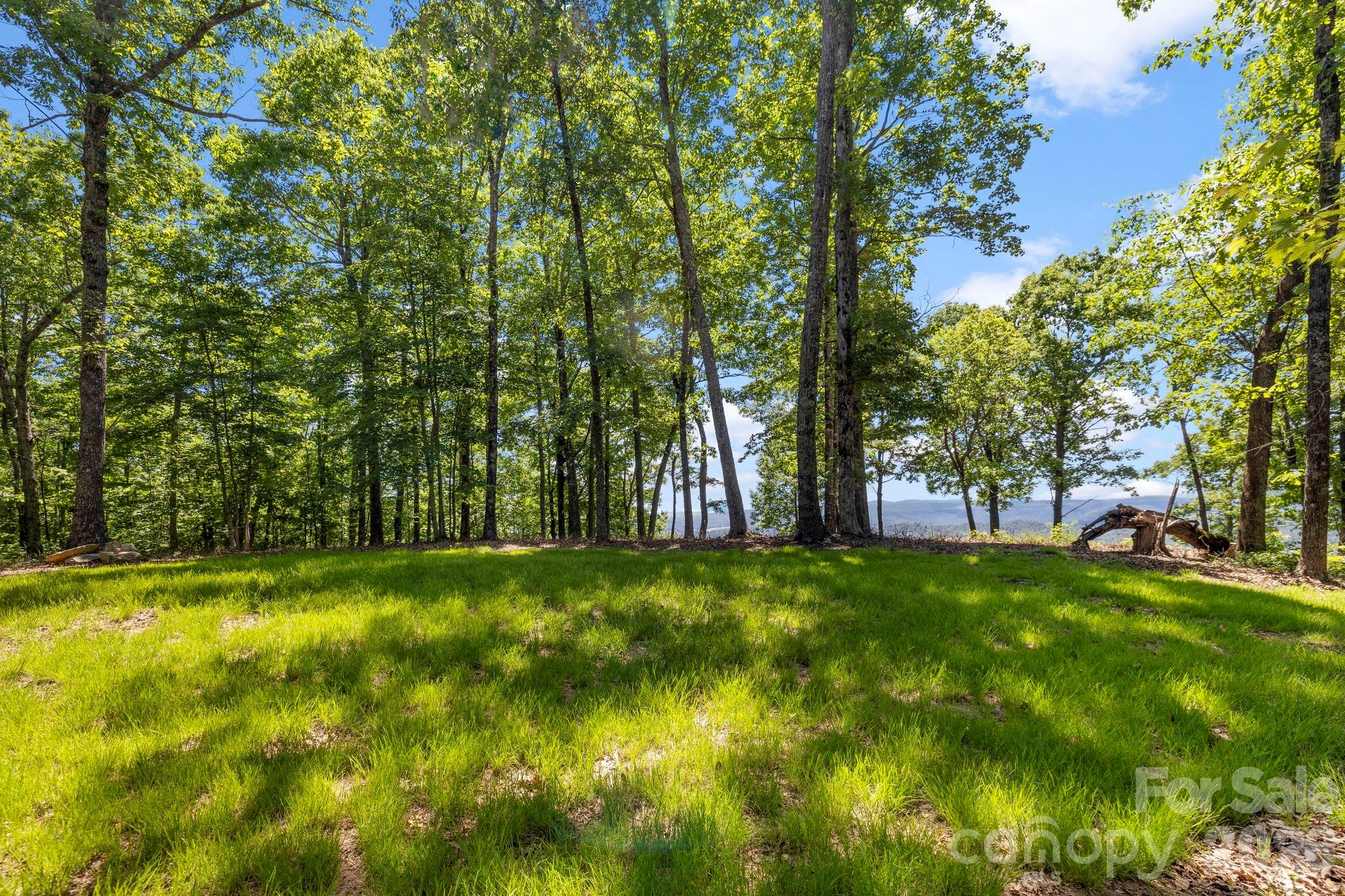 Sunlit clearing bordered by hardwood forest offers privacy, natural beauty, and glimpses of surrounding mountain scenery. - 9999 Rocky Mountain Road, Lake Toxaway