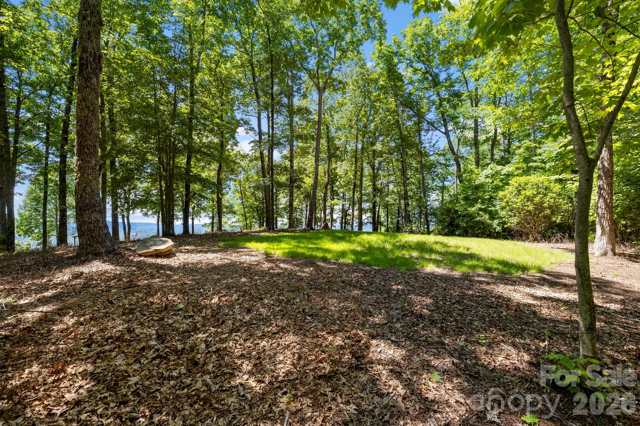 A blend of open grassy space, mature trees, and unique natural features creates a tranquil mountain retreat atmosphere. - 9999 Rocky Mountain Road, Lake Toxaway