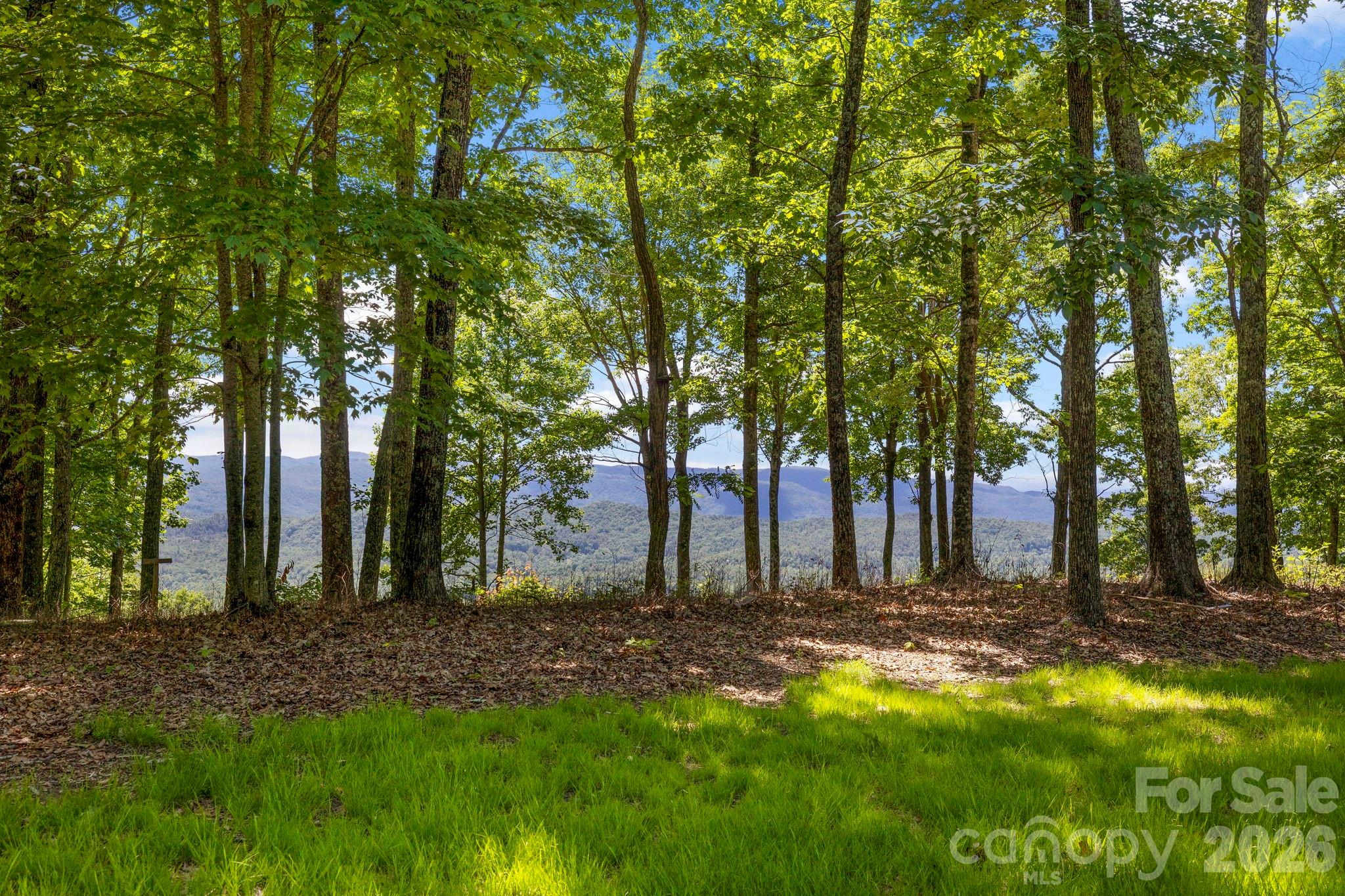 Tucked within a wooded setting, this cleared area offers a peaceful environment with seasonal mountain views and abundant natural beauty. - 9999 Rocky Mountain Road, Lake Toxaway